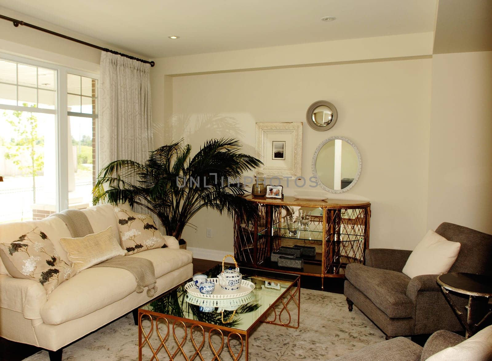 A beautiful furnished new living room with a sofa and chair and table, and.a window and a big palm..