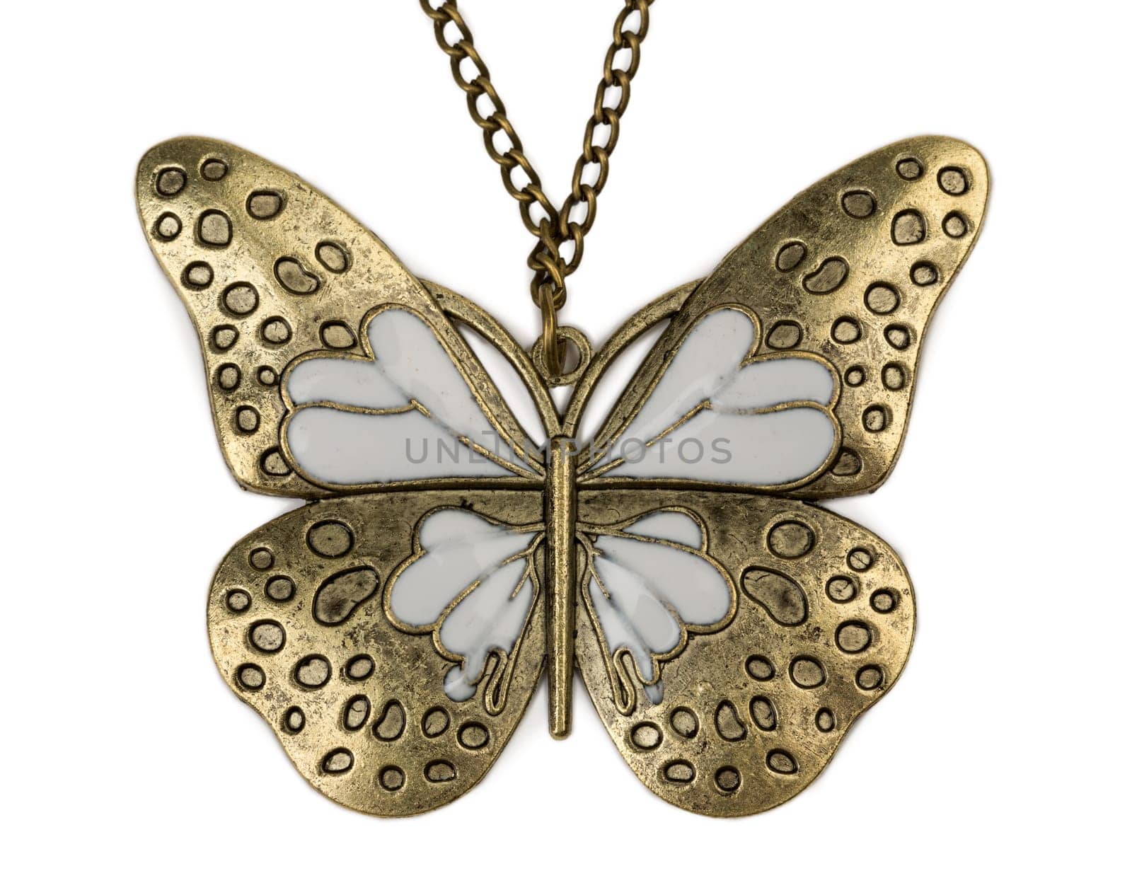 Butterfly necklace on a chain. Isolate on white.