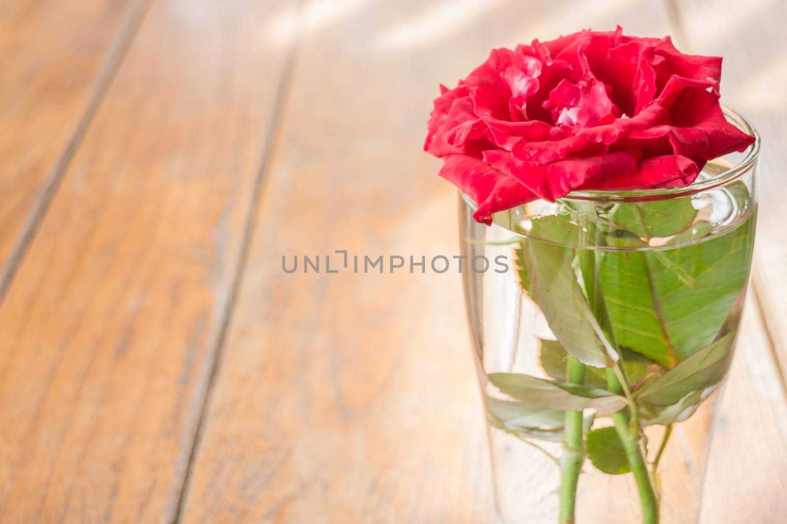 Beautiful red rose on wooden table, stock photo