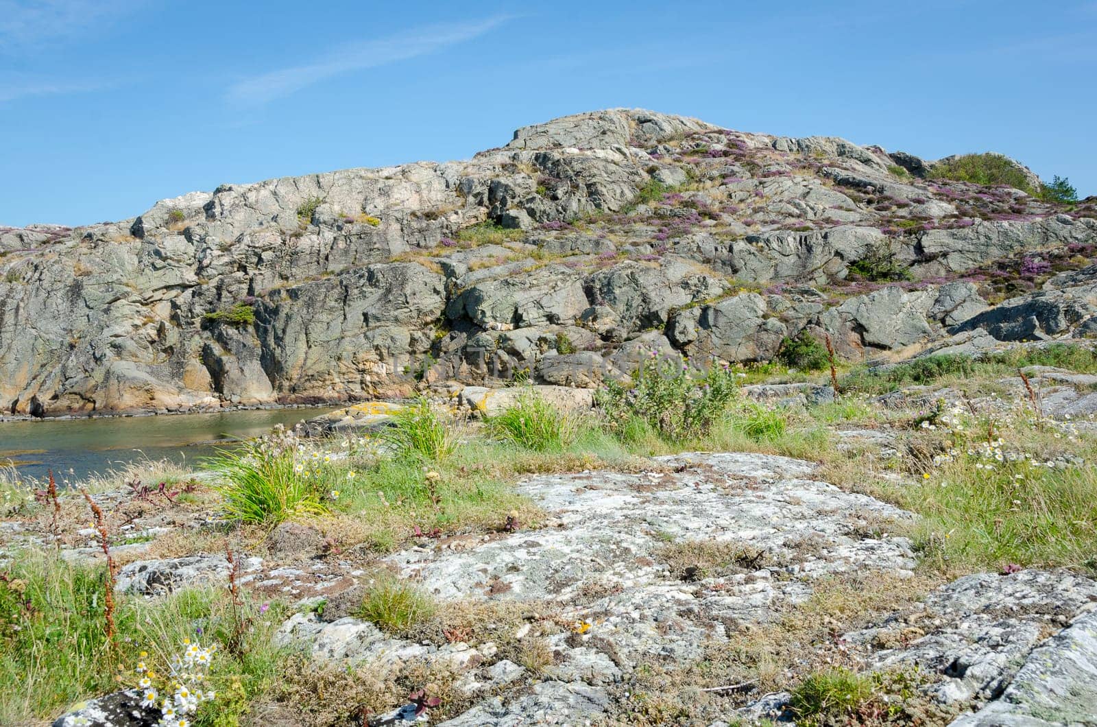 one little island on the swedisg westcoast in stigfjorden