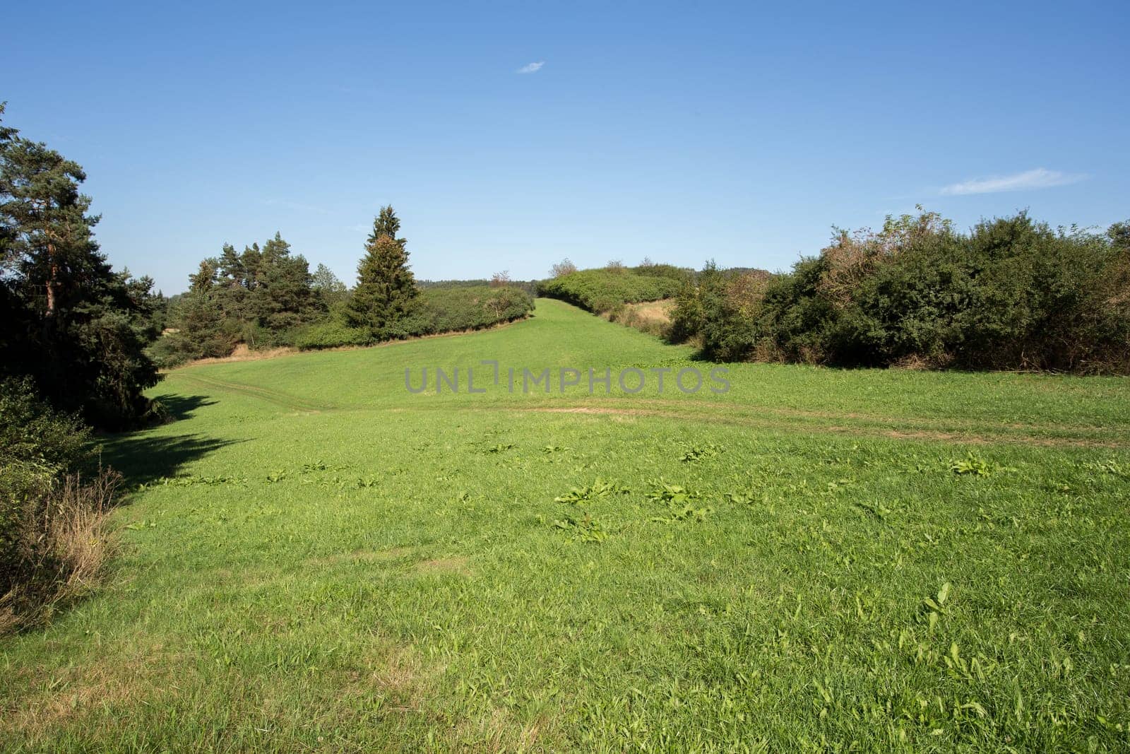 rural summer landscape in czech Republic - region Vysocina