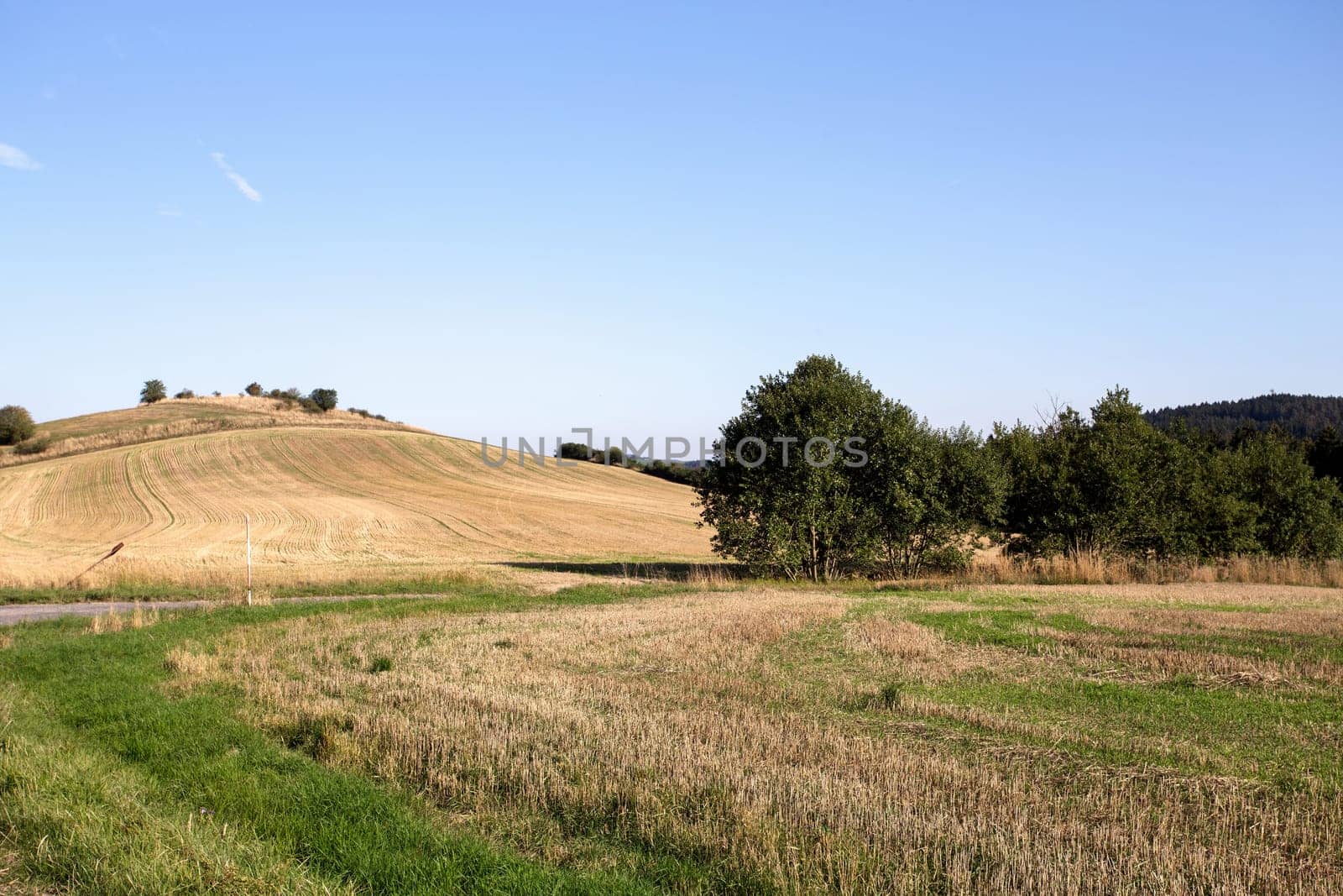rural summer landscape in czech Republic - region Vysocina
