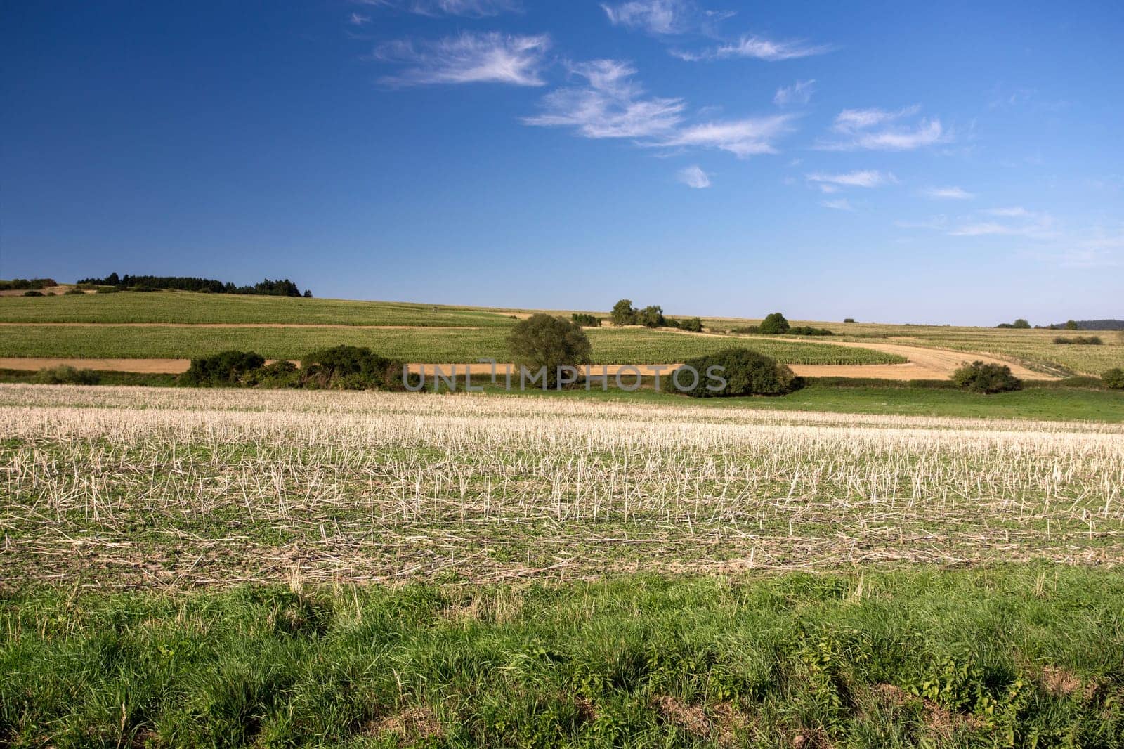 rural summer landscape in czech Republic - region Vysocina
