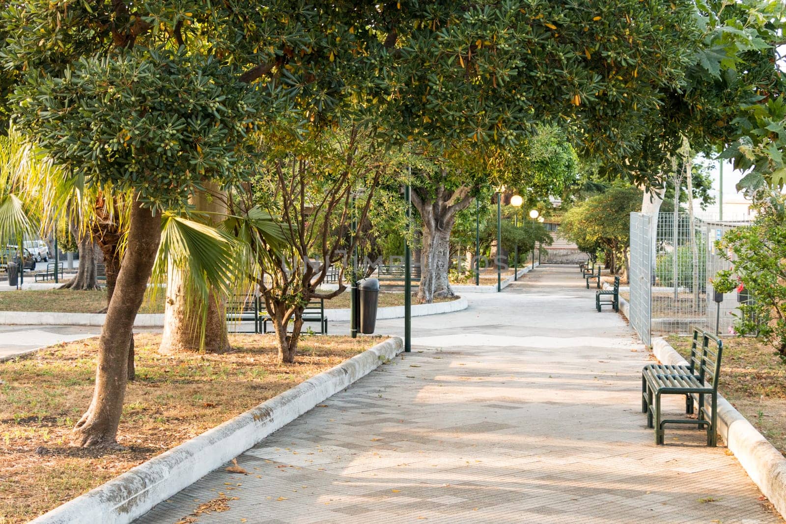 City Park with benches and night light
