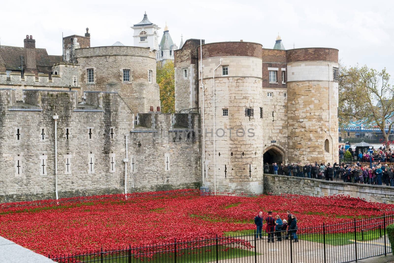LONDON, UK - NOVEMBER 08