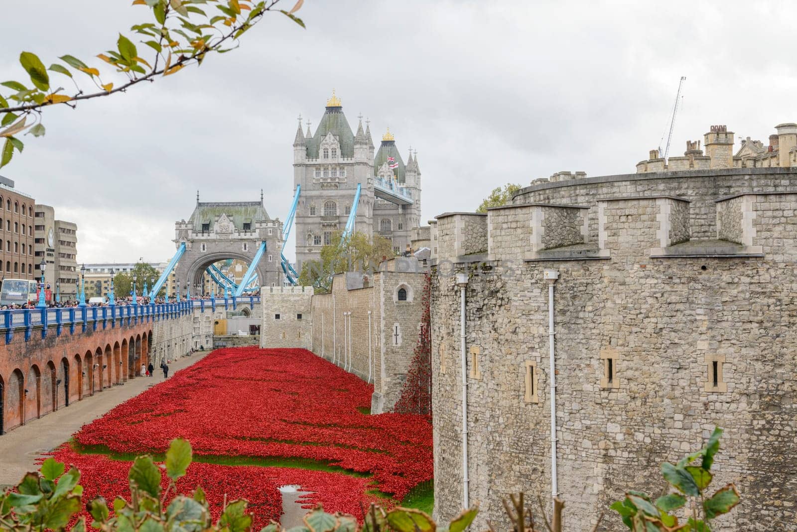 LONDON, UK - NOVEMBER 08