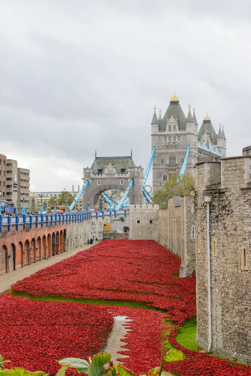 LONDON, UK - NOVEMBER 08