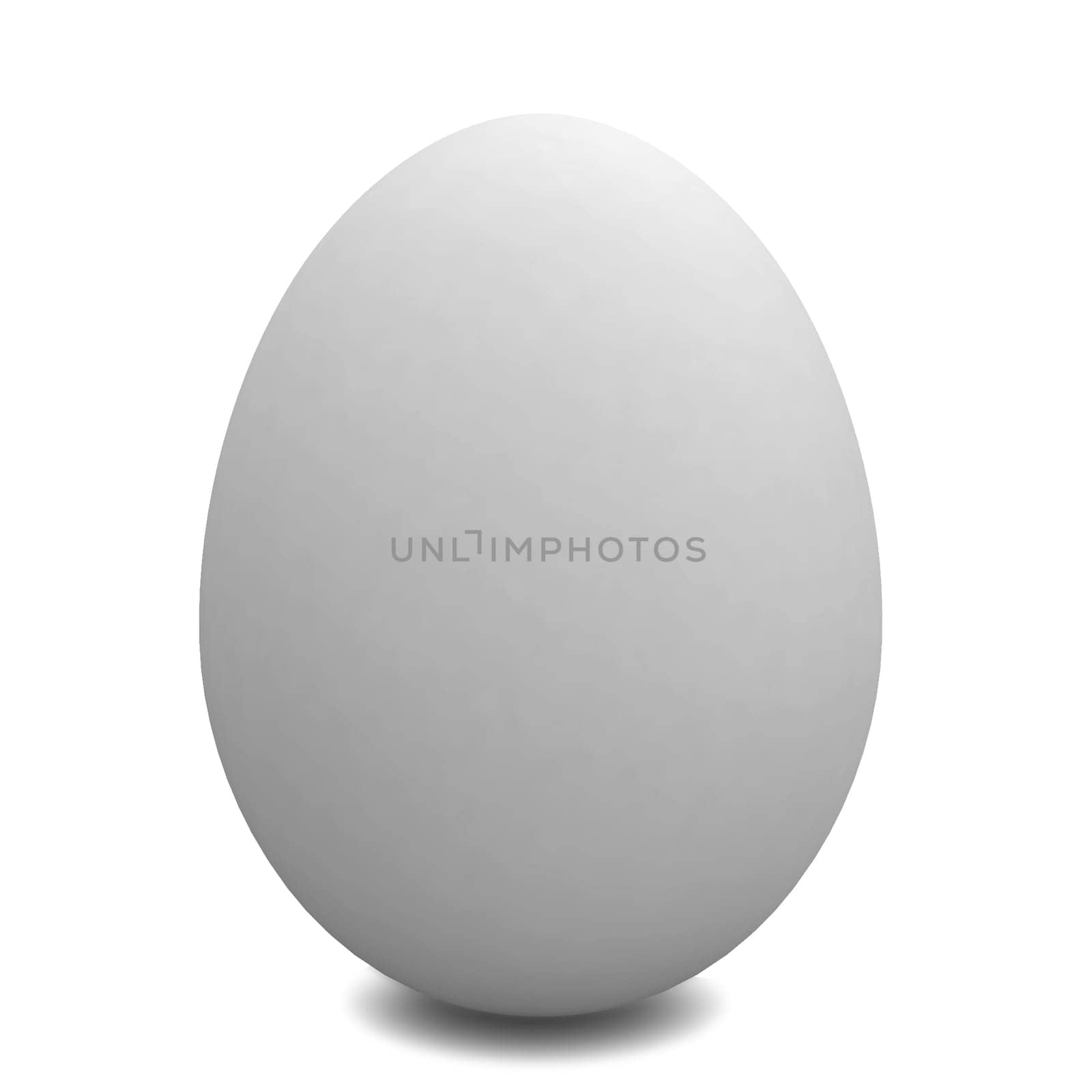 White egg. 3d illustration isolated on white background
