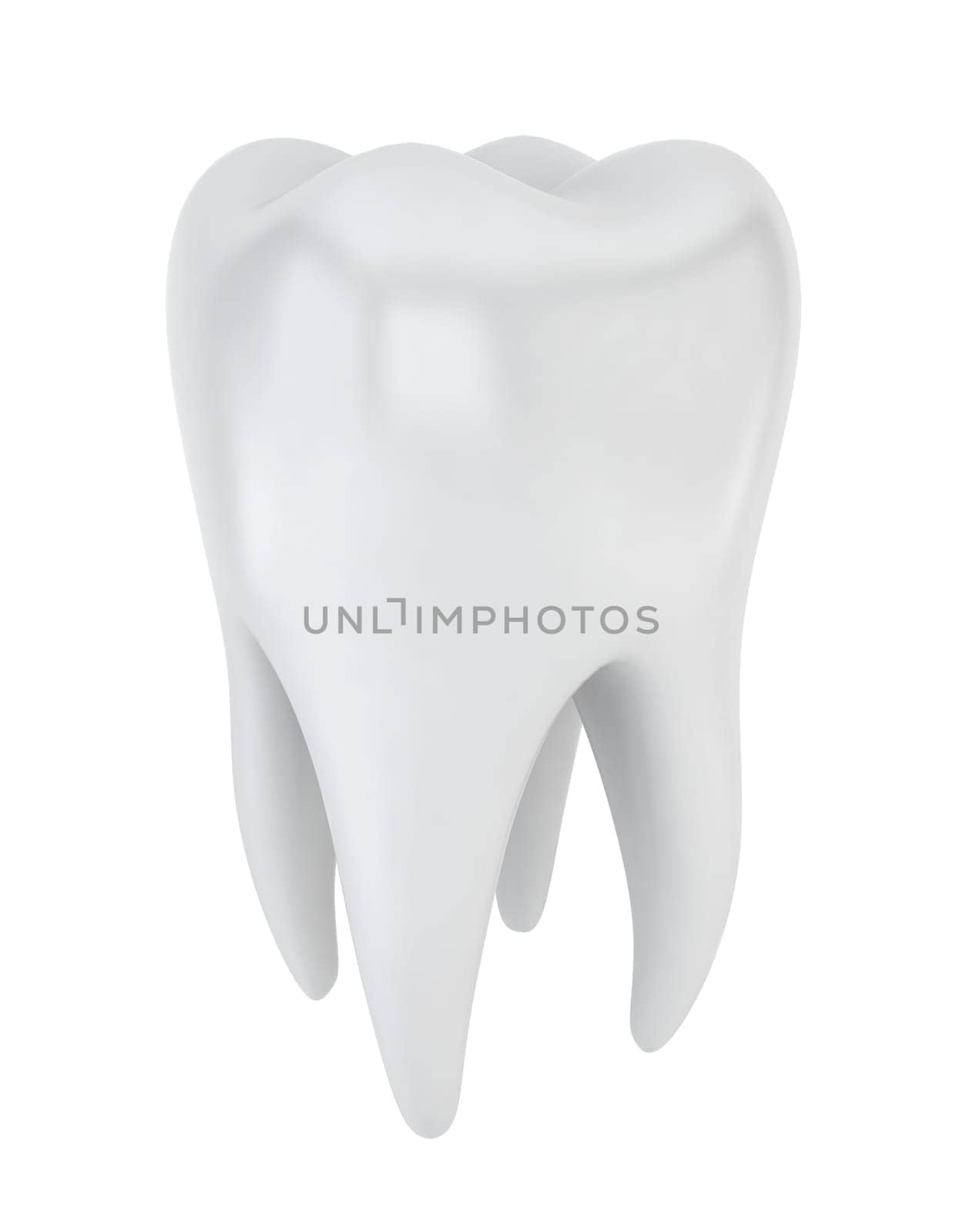 Tooth. 3d illustration on white background
