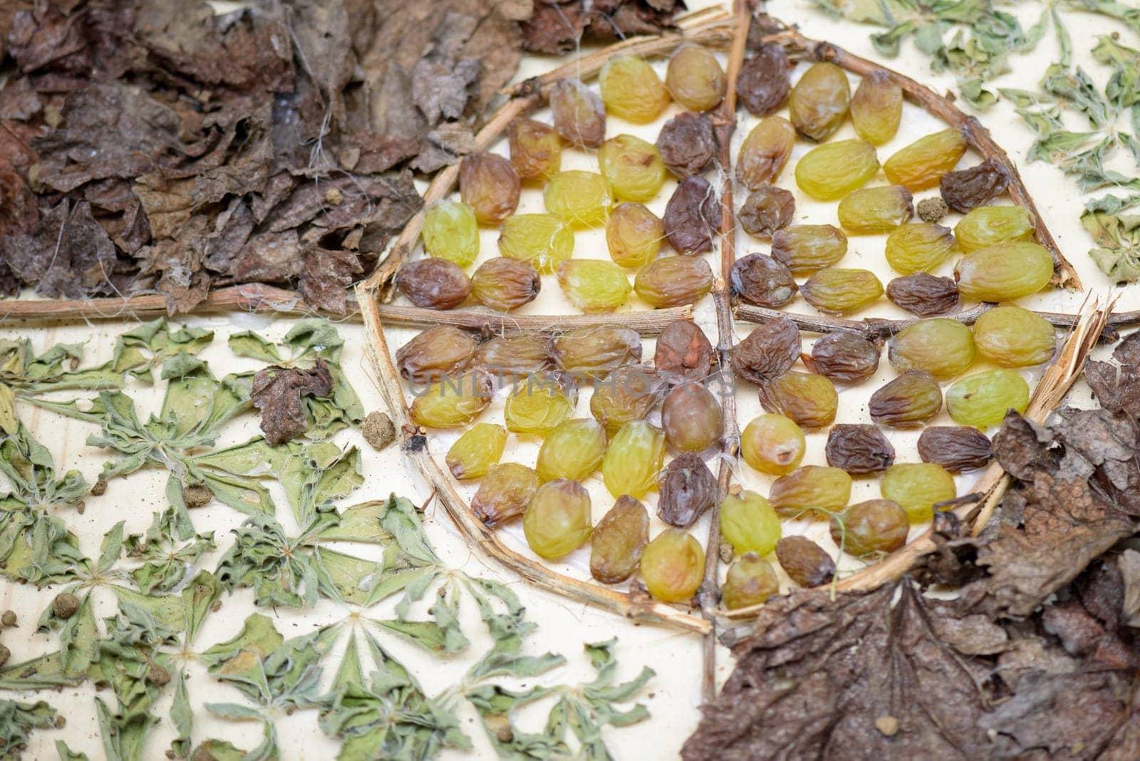Nice composition with natural material, like nuts, walnuts, pine cones, grapes, hazelnuts and corn