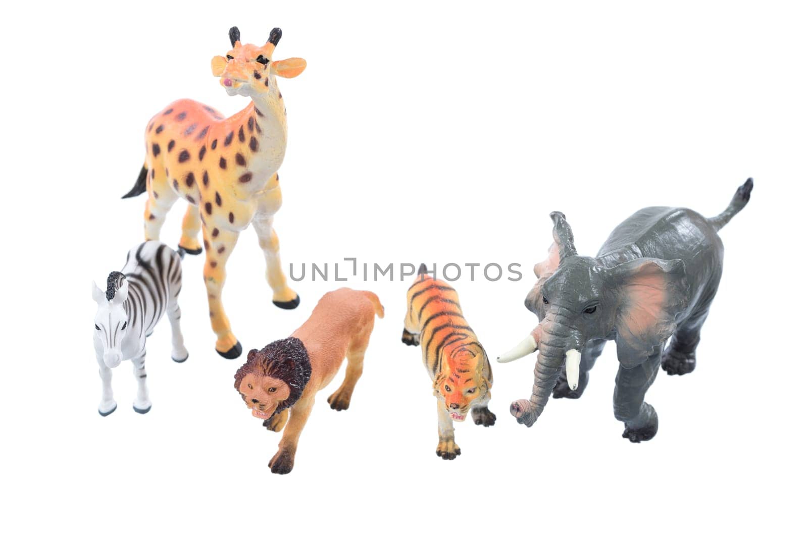 Small toy animals ioslated on a white background.