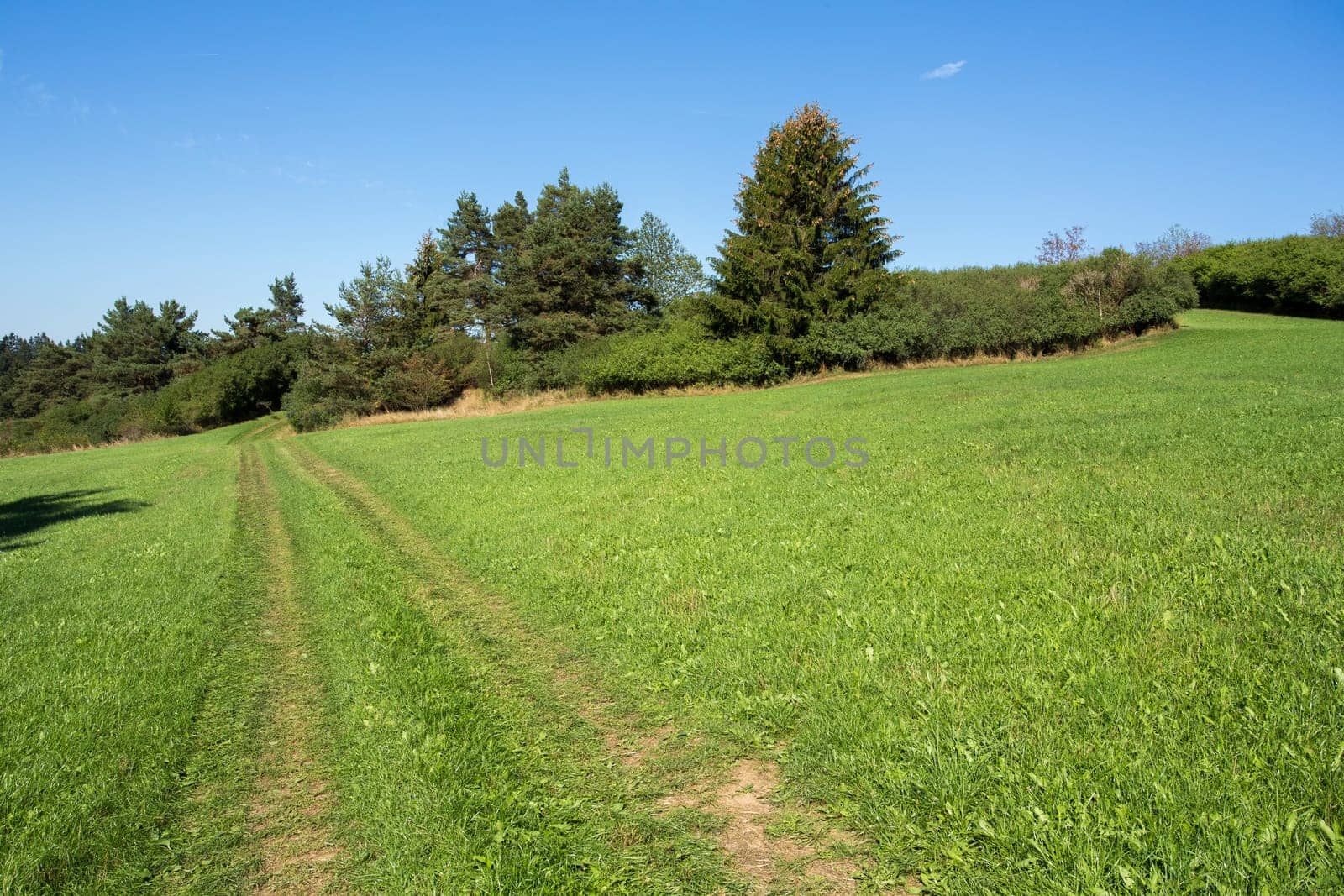 rural summer landscape in czech Republic - region Vysocina