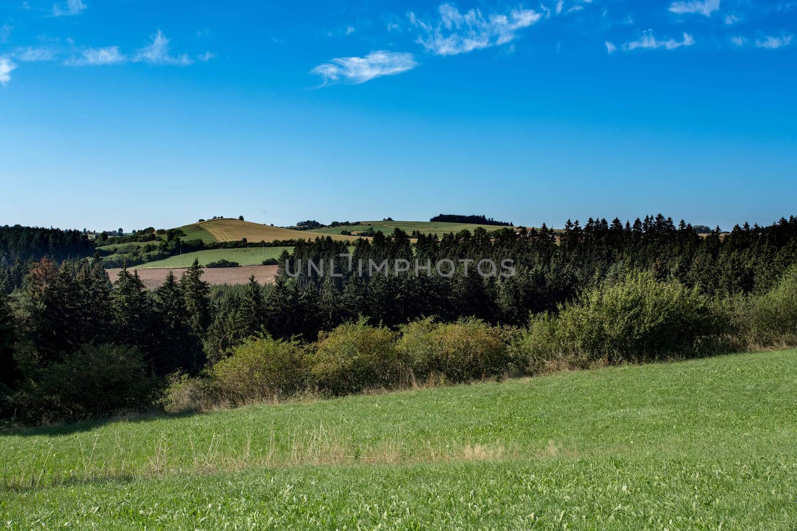 rural summer landscape in czech Republic - region Vysocina