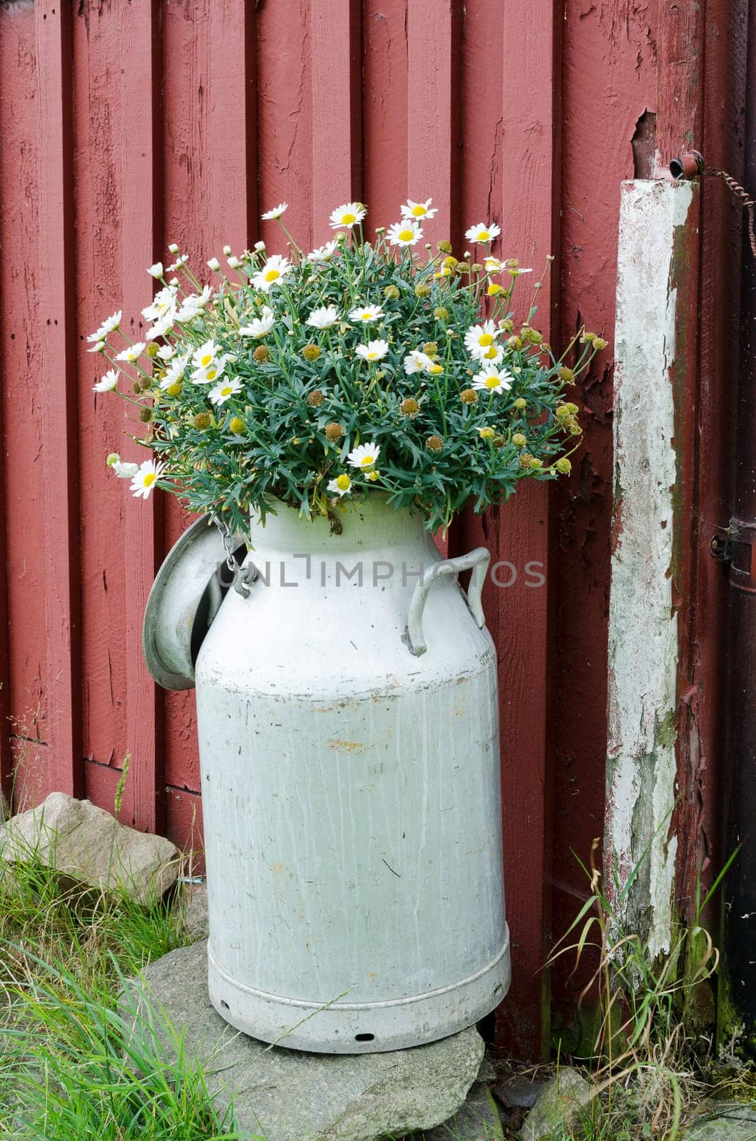 old milk judge with beutiful flower stand one one stone