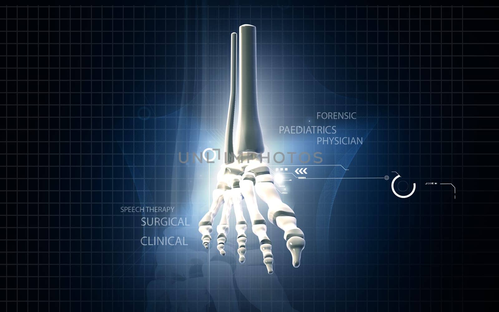 Digital illustration of Leg bone in colour background