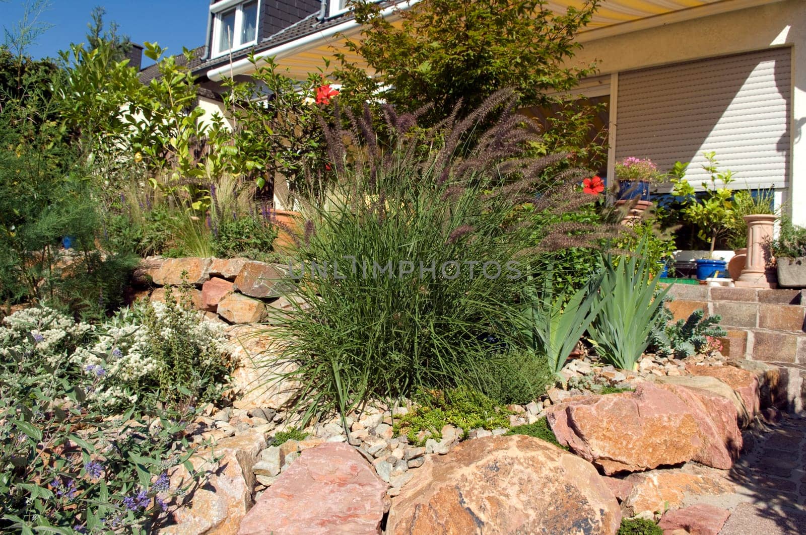 Stone garden  Dry stone wall  fuenf,months after planting