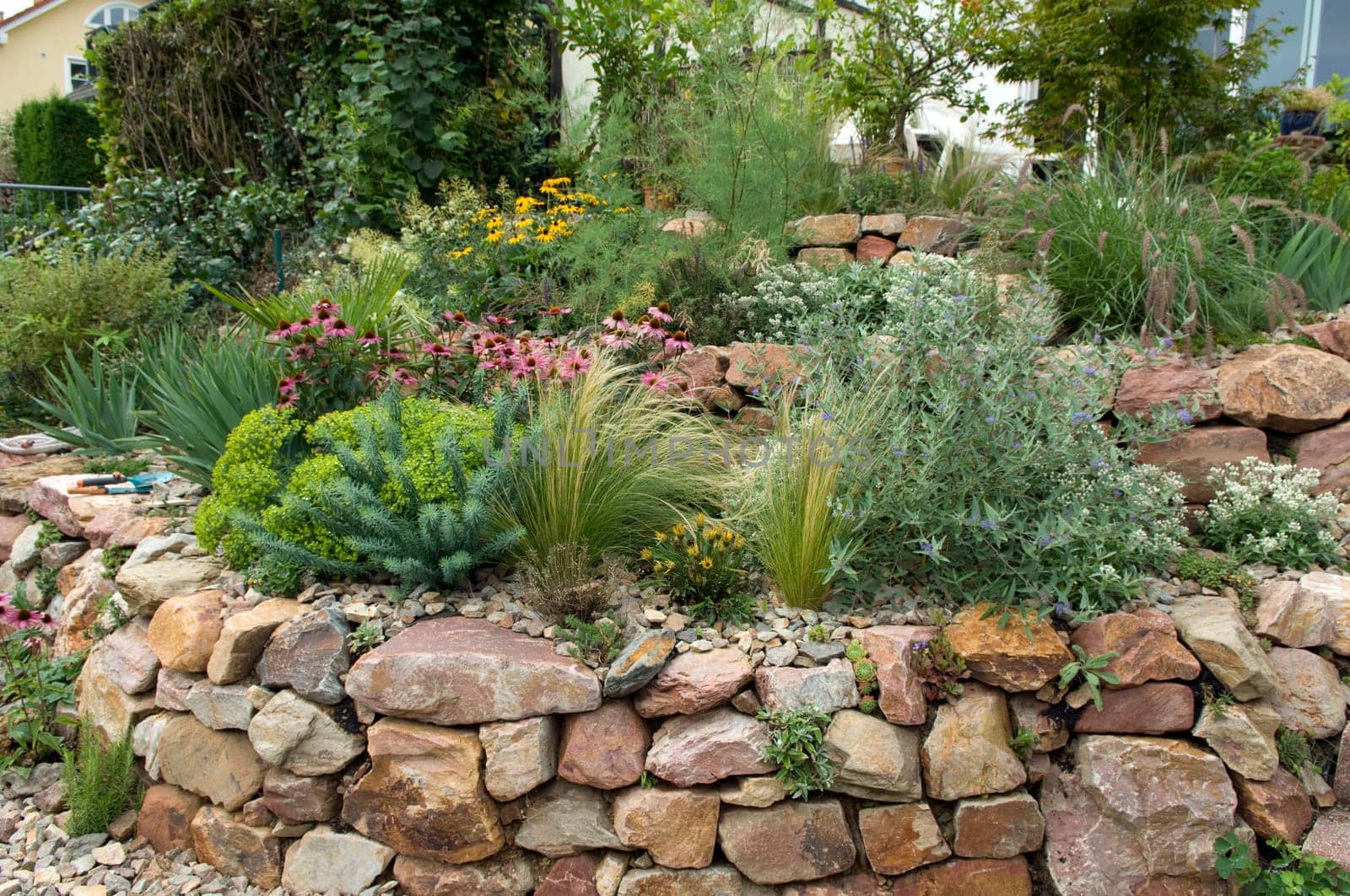 Stone garden  Dry stone wall  fuenf,months after planting