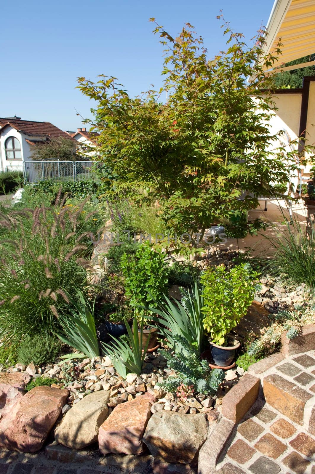 Stone garden  Dry stone wall  fuenf,months after planting