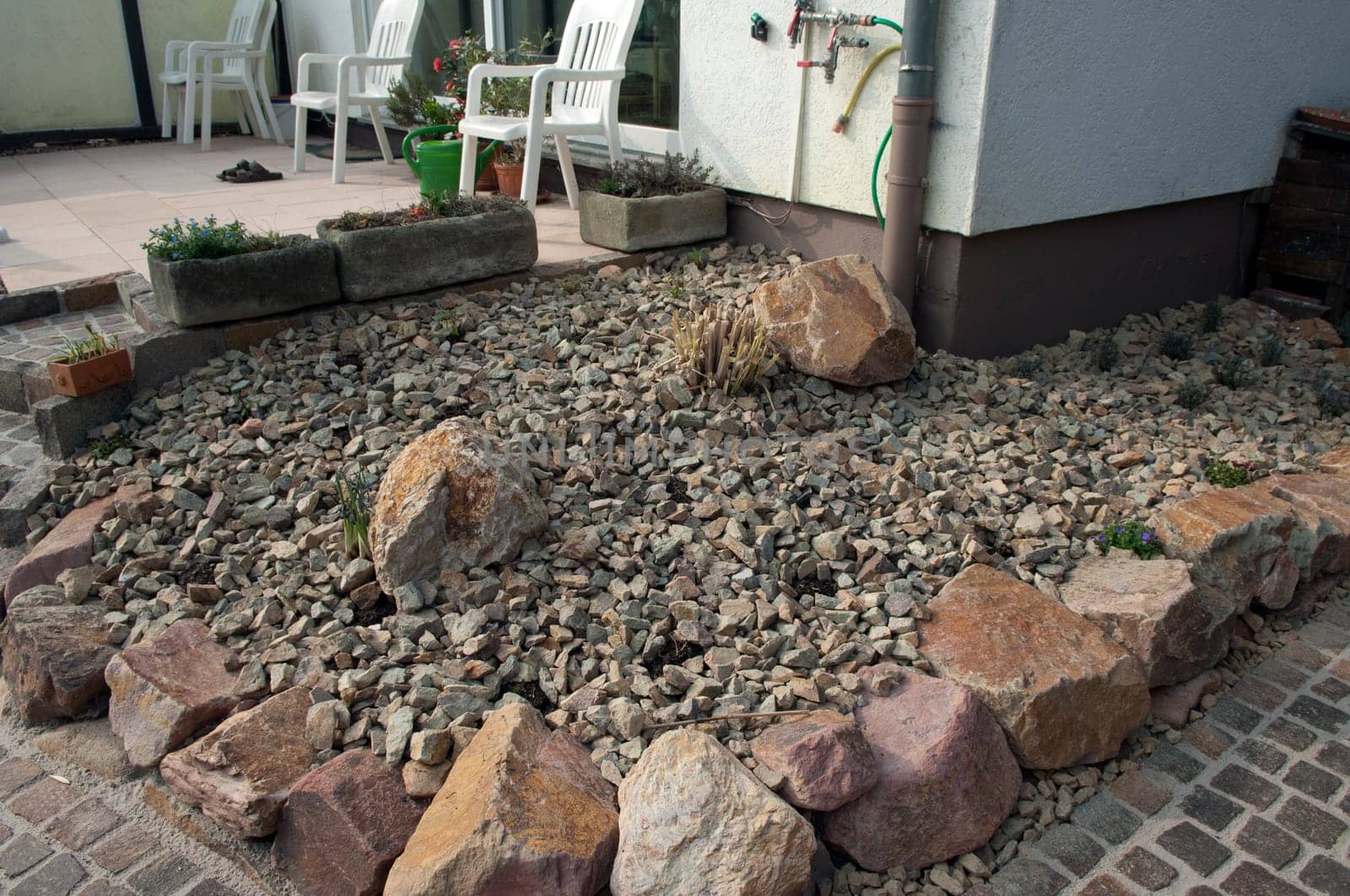 Steingarten  frisch, bepflanzt, Pflanzen, junge