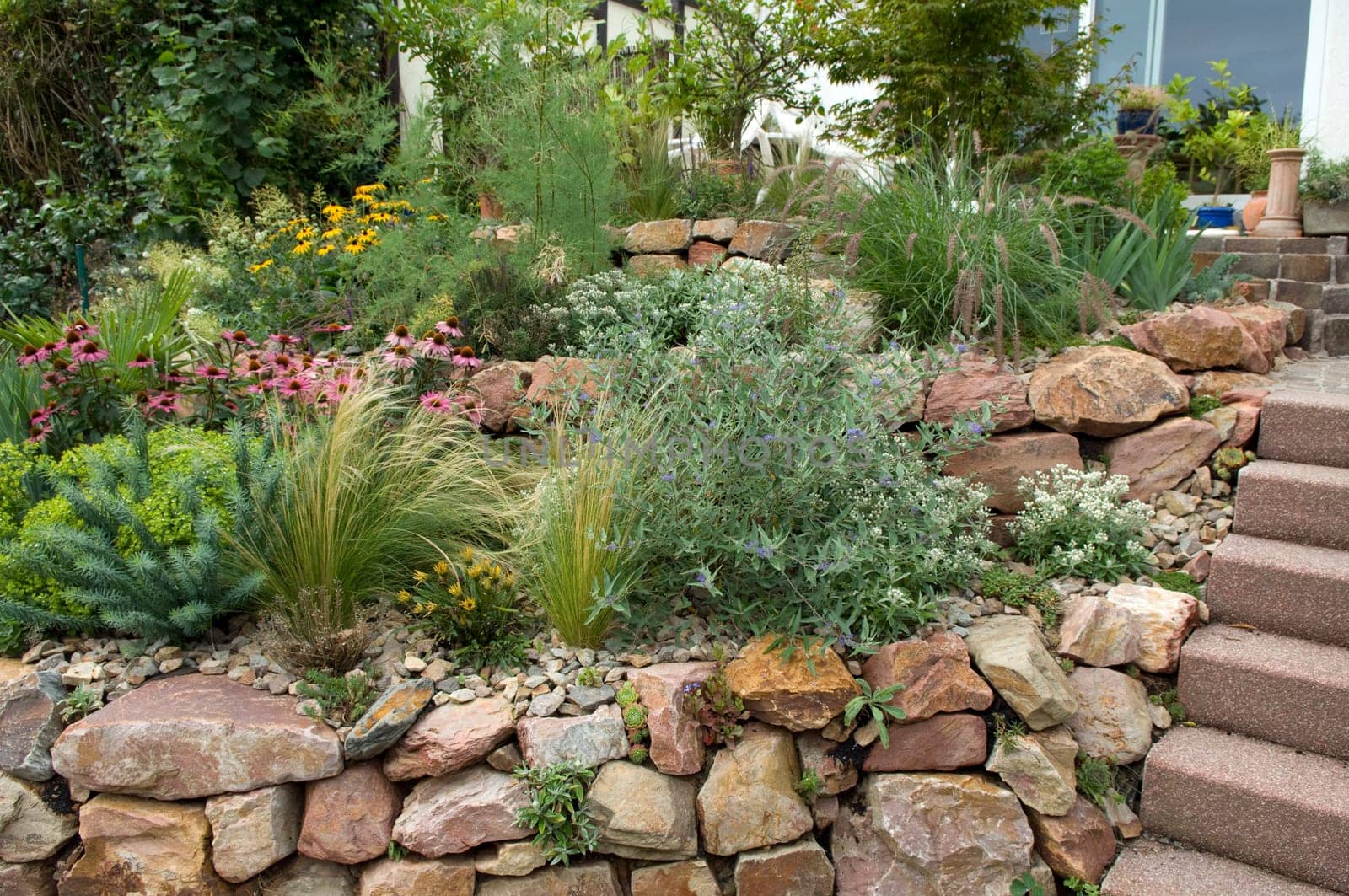 Stone garden  Dry stone wall  fuenf,months after planting