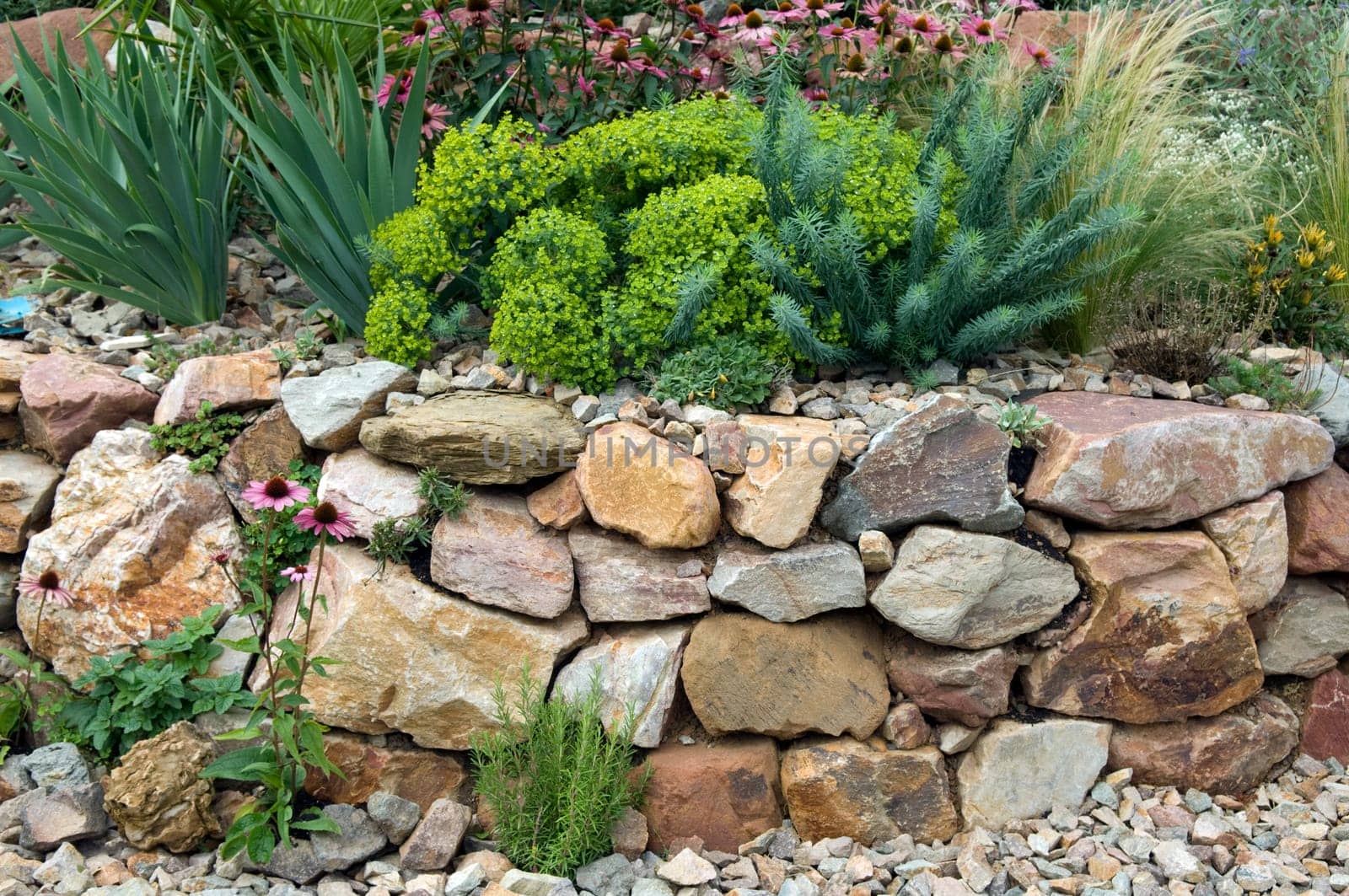 Stone garden  Dry stone wall  fuenf,months after planting