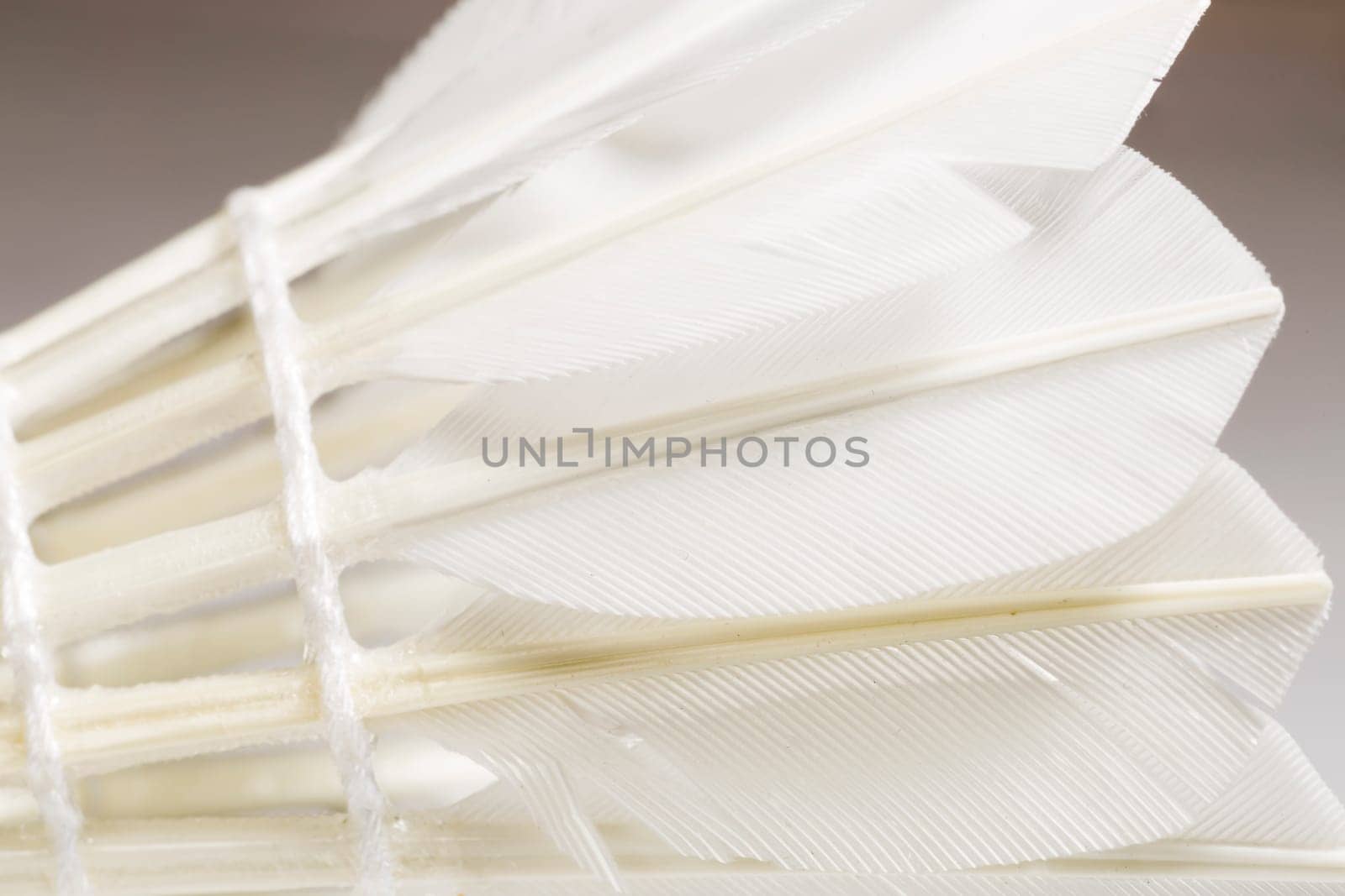 Feathered White Shuttlecock. Macro image.