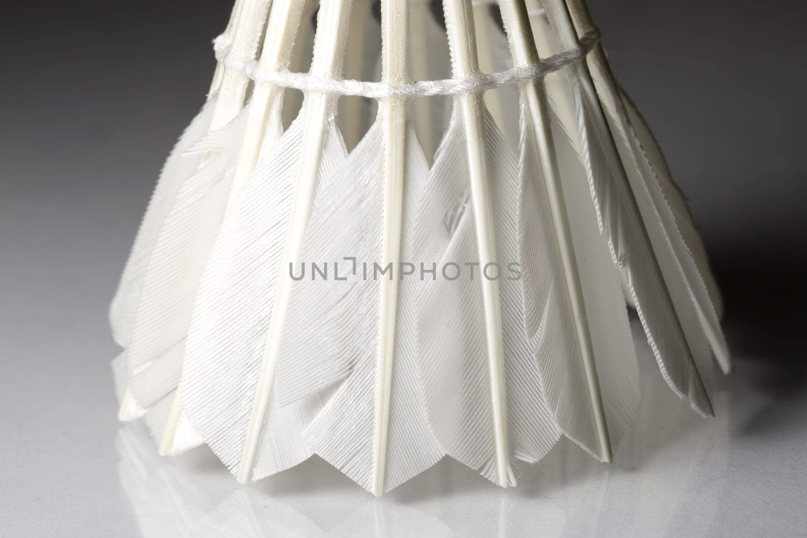 Feathered White Shuttlecock with grey background. Macro image.