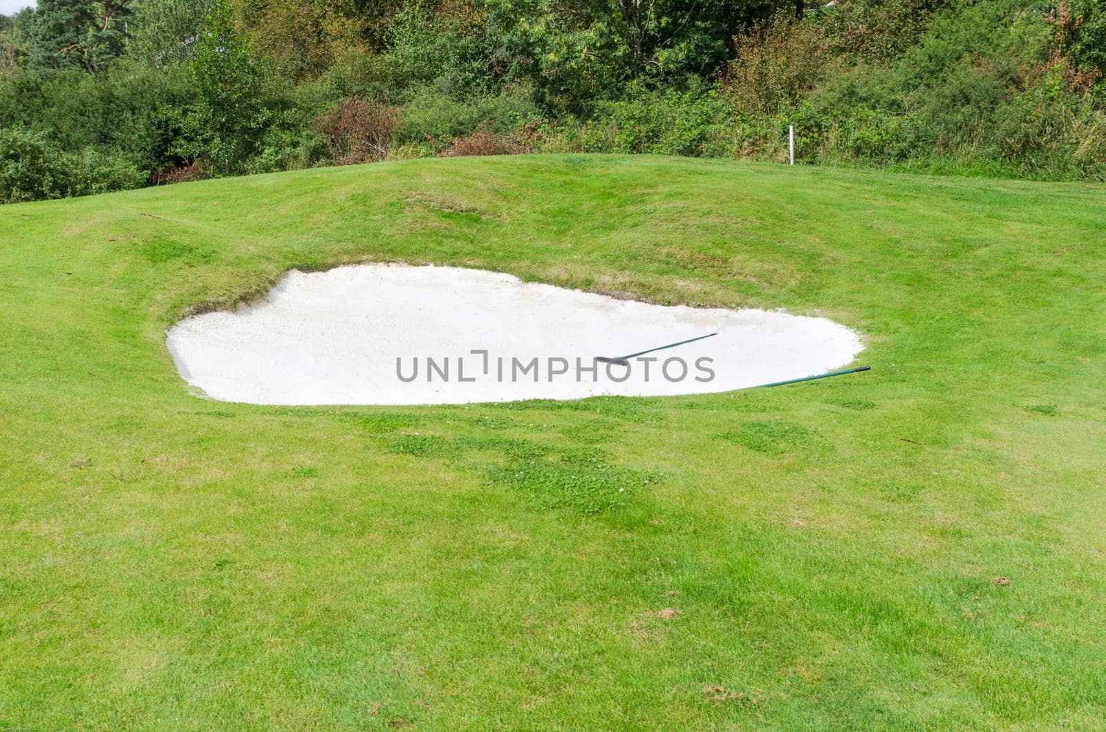 one bunker on the golf course almost near the forest