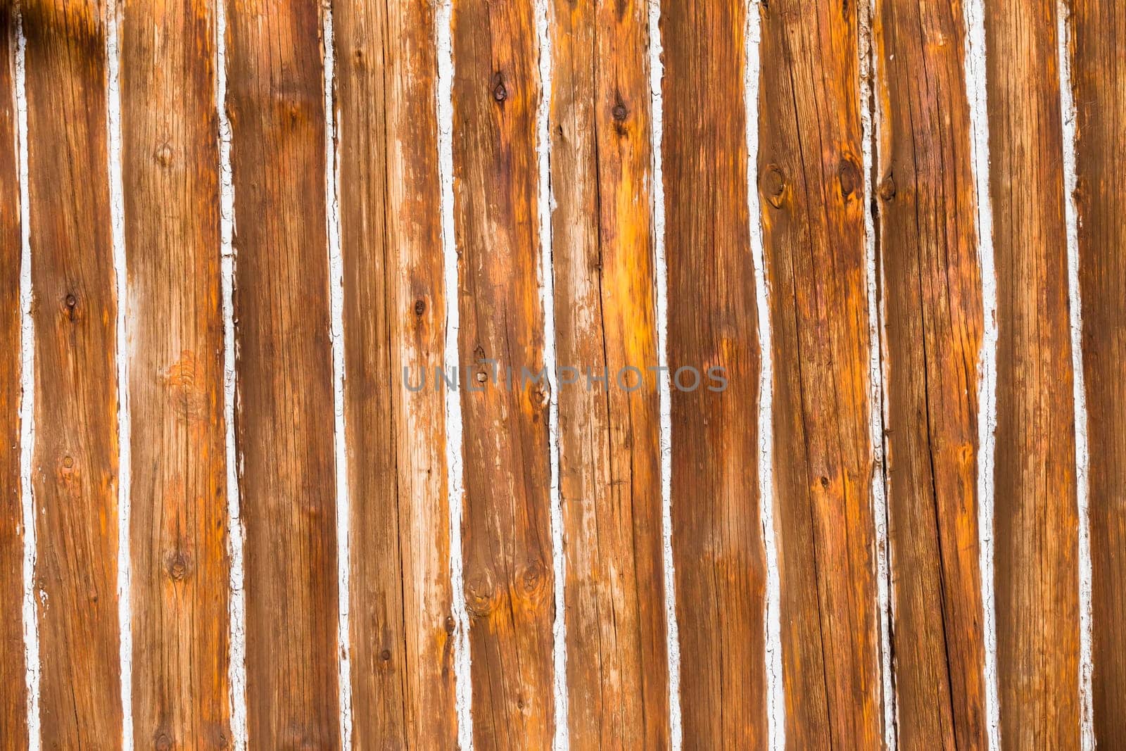 Decor cabin wood poles walls with white paste filler closeup texture detail background