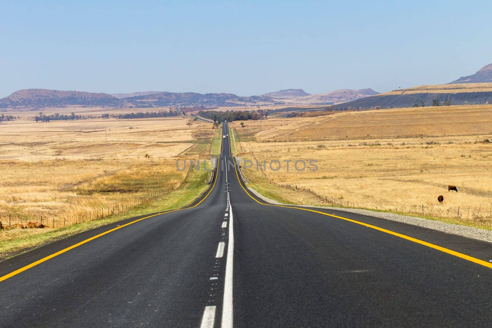Road Straight highway through the rural countryside landscape