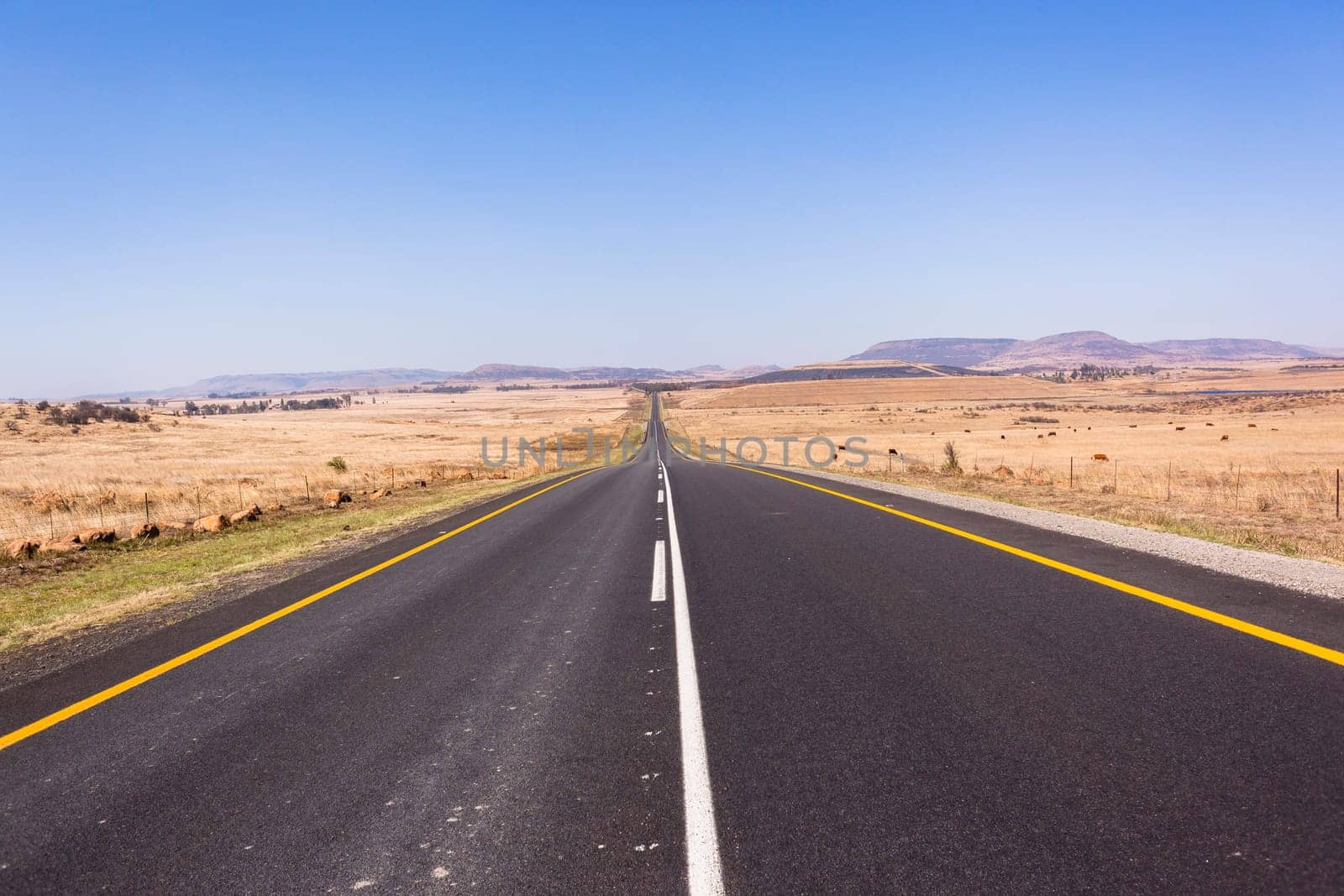 Road Straight highway through the rural countryside landscape