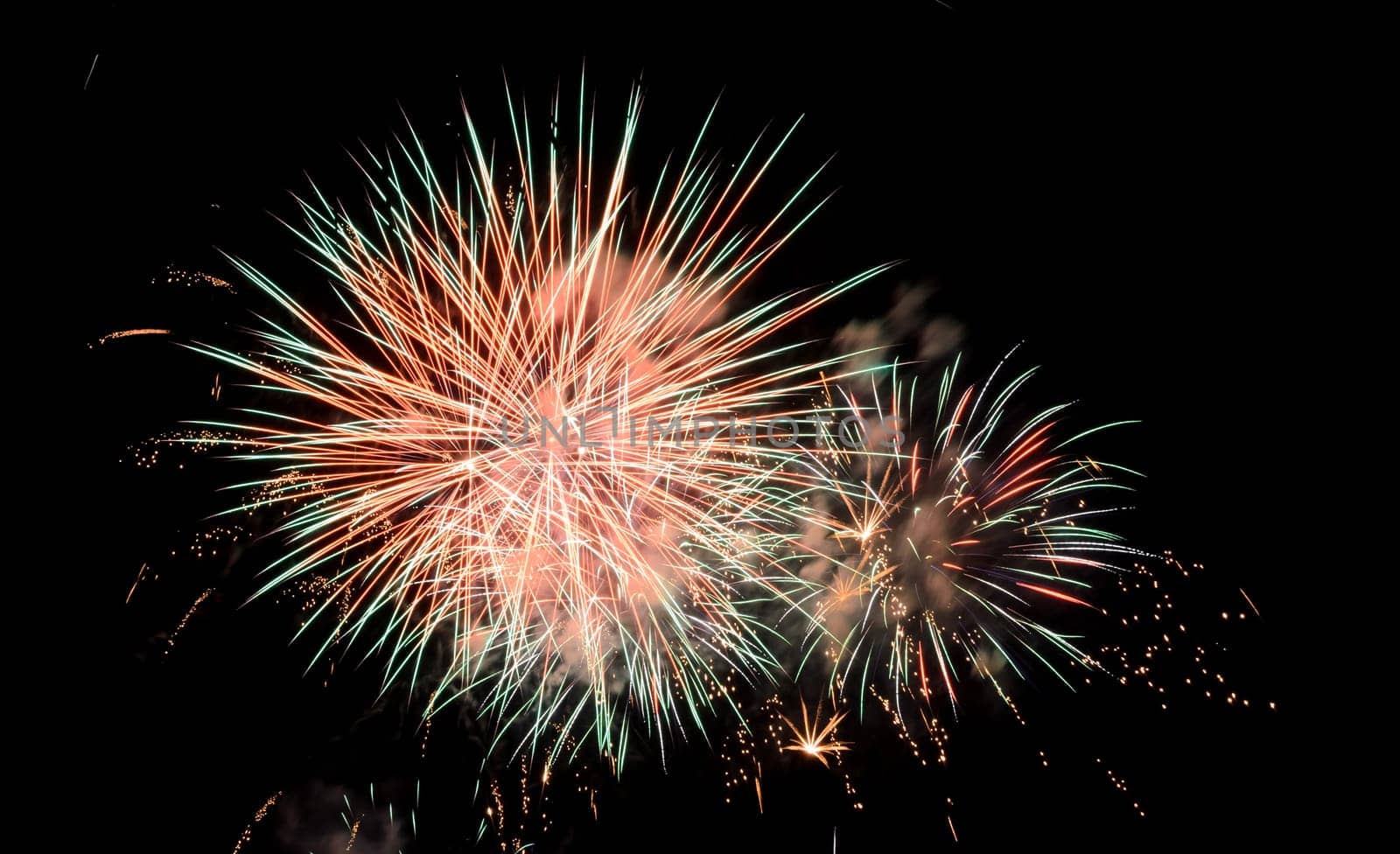 Colorful fireworks exploding in the night sky