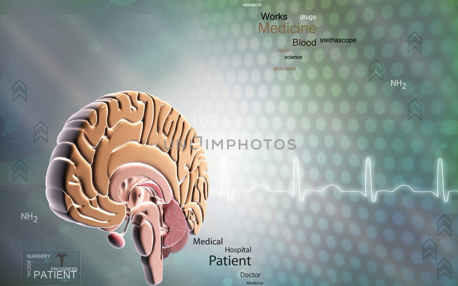 Digital illustration of brain in colour background