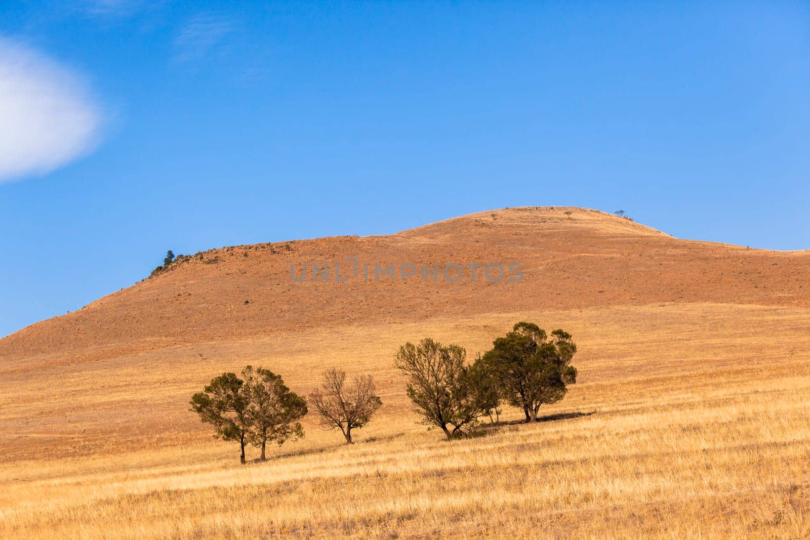 Fields trees grass in dry season in rural rocky farming hills mountain landscape