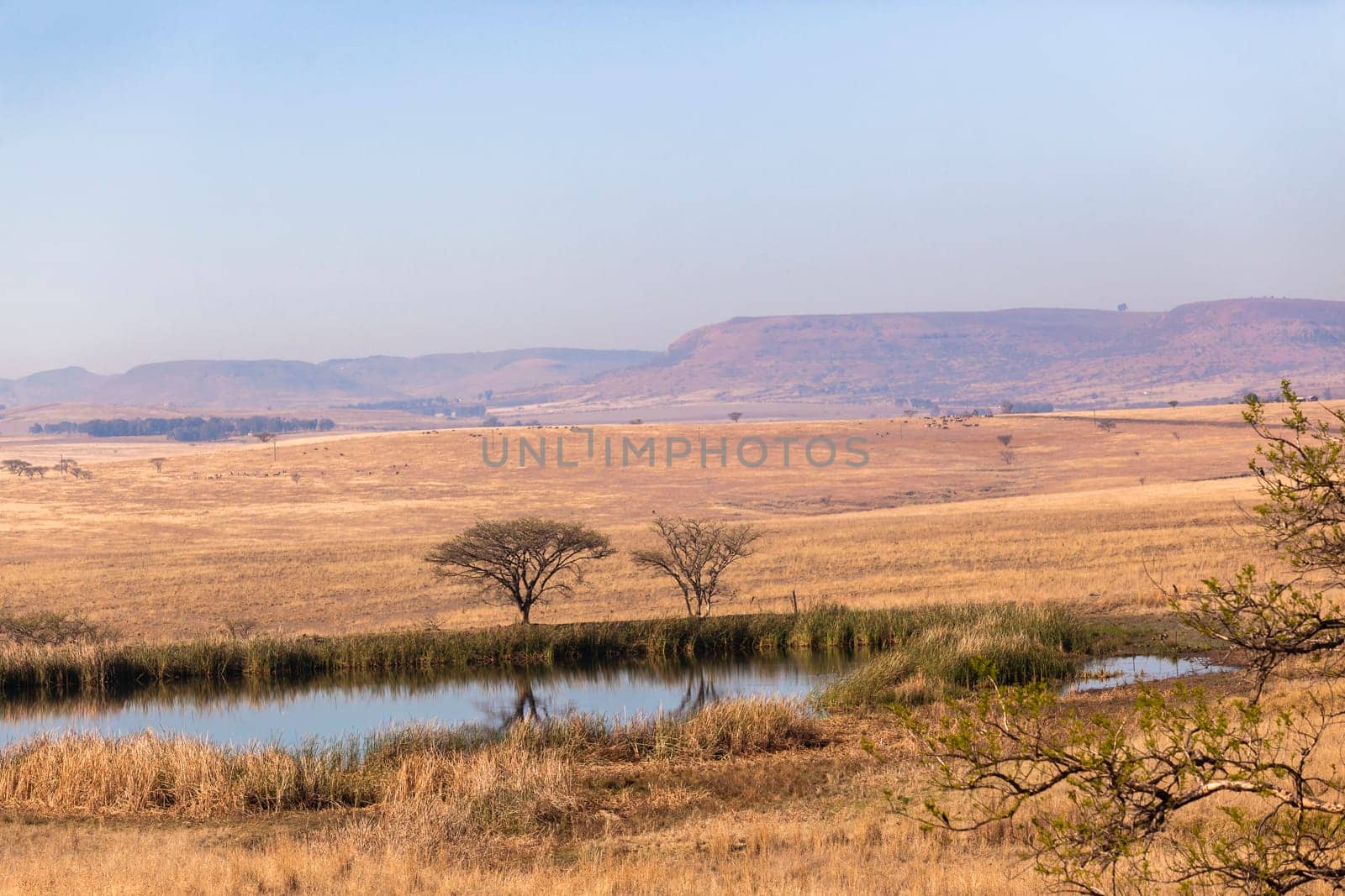 Fields trees waterhole spring in dry season in rural farming mountain landscape