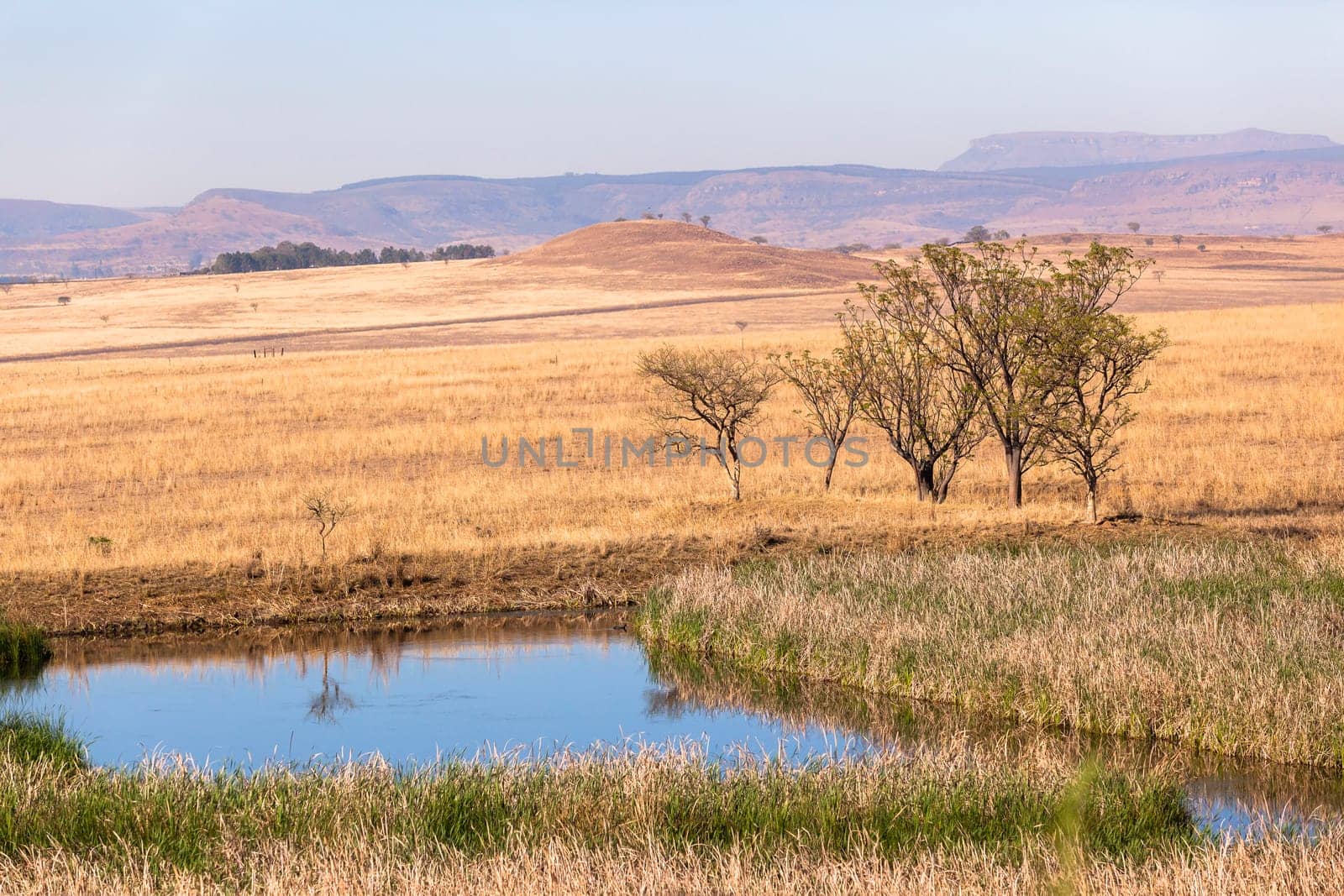 Fields trees waterhole spring in dry season in rural farming mountain landscape