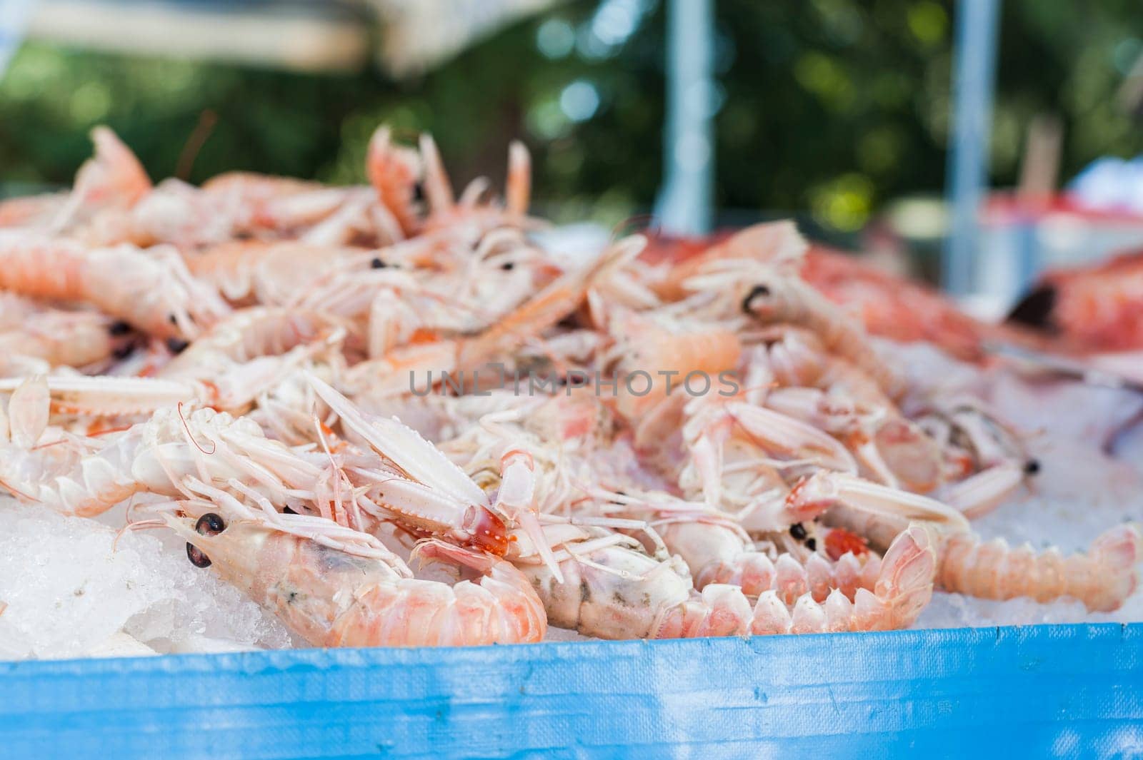 Shrimp for sale at an outdoor market. Italy