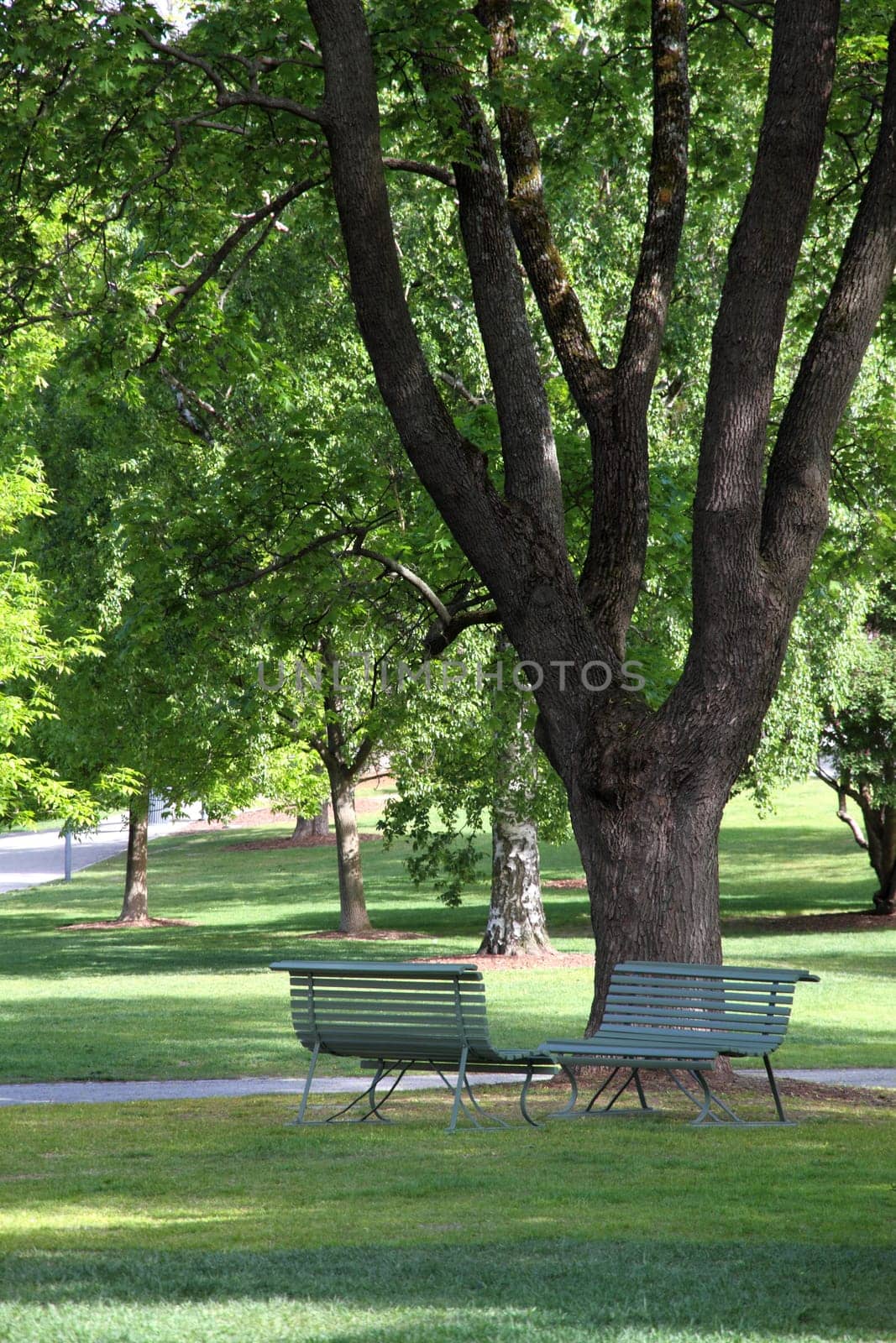 Two chairs in a park