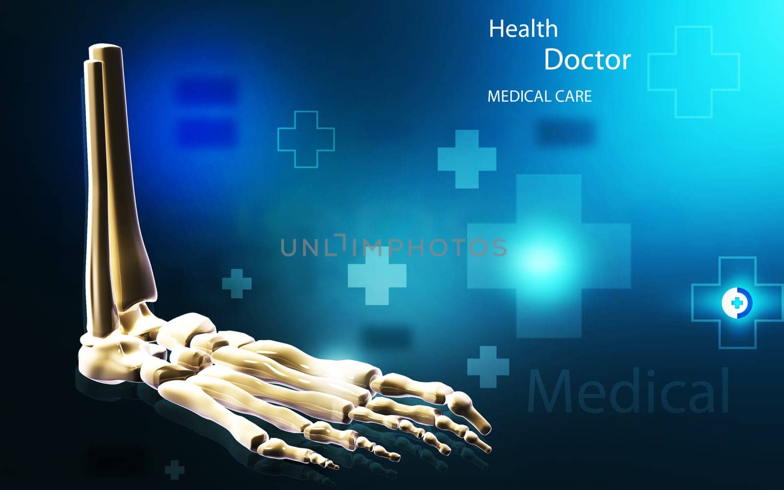 Digital illustration of Leg bone in colour background
