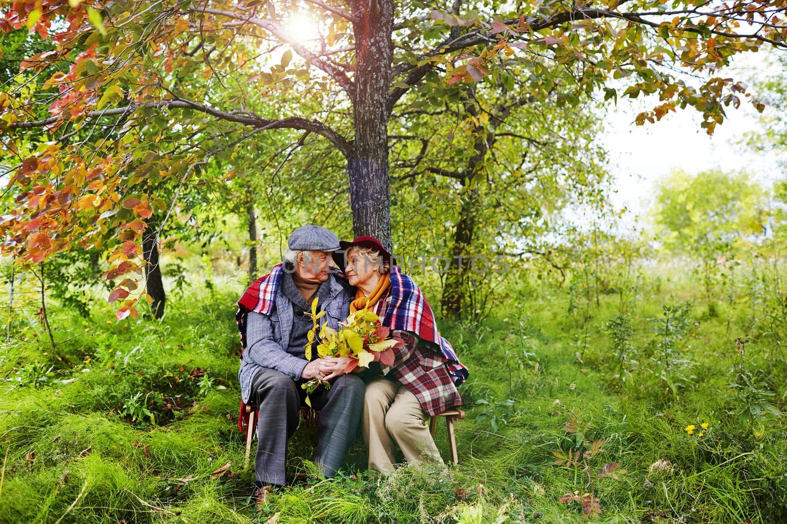 Affectionate seniors sitting under tree in park on autumn day