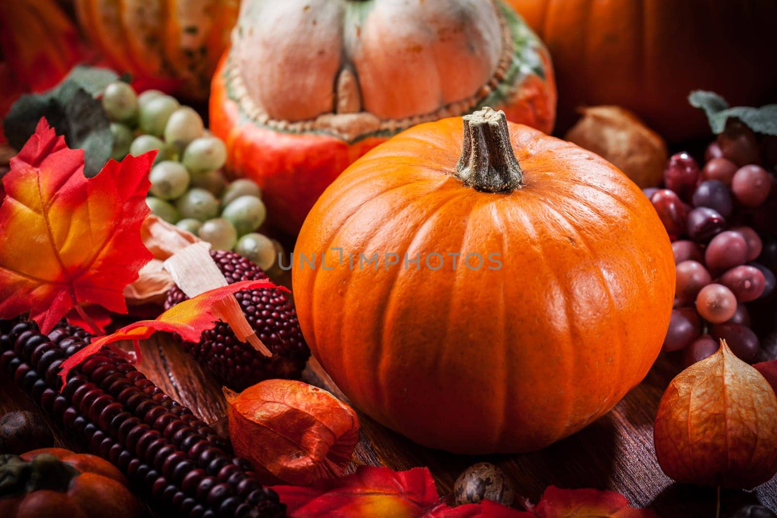 Traditional pumpkins for Thanksgiving and Halloween