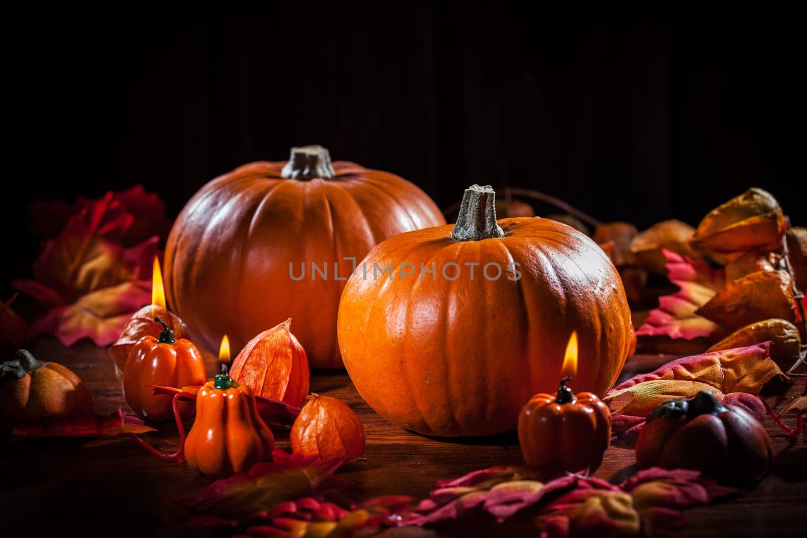 Traditional pumpkins for Thanksgiving and Halloween