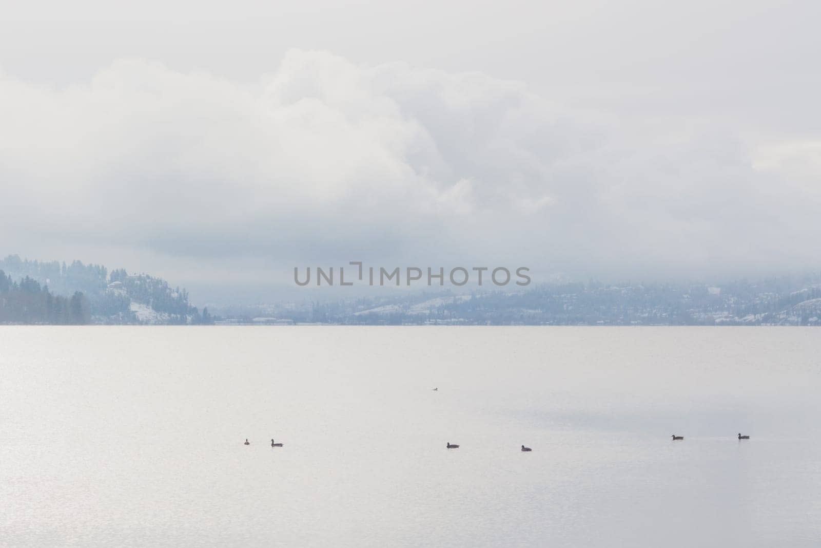 Misty landscape of winter on Wood Lake, Oyama, British Columbia.