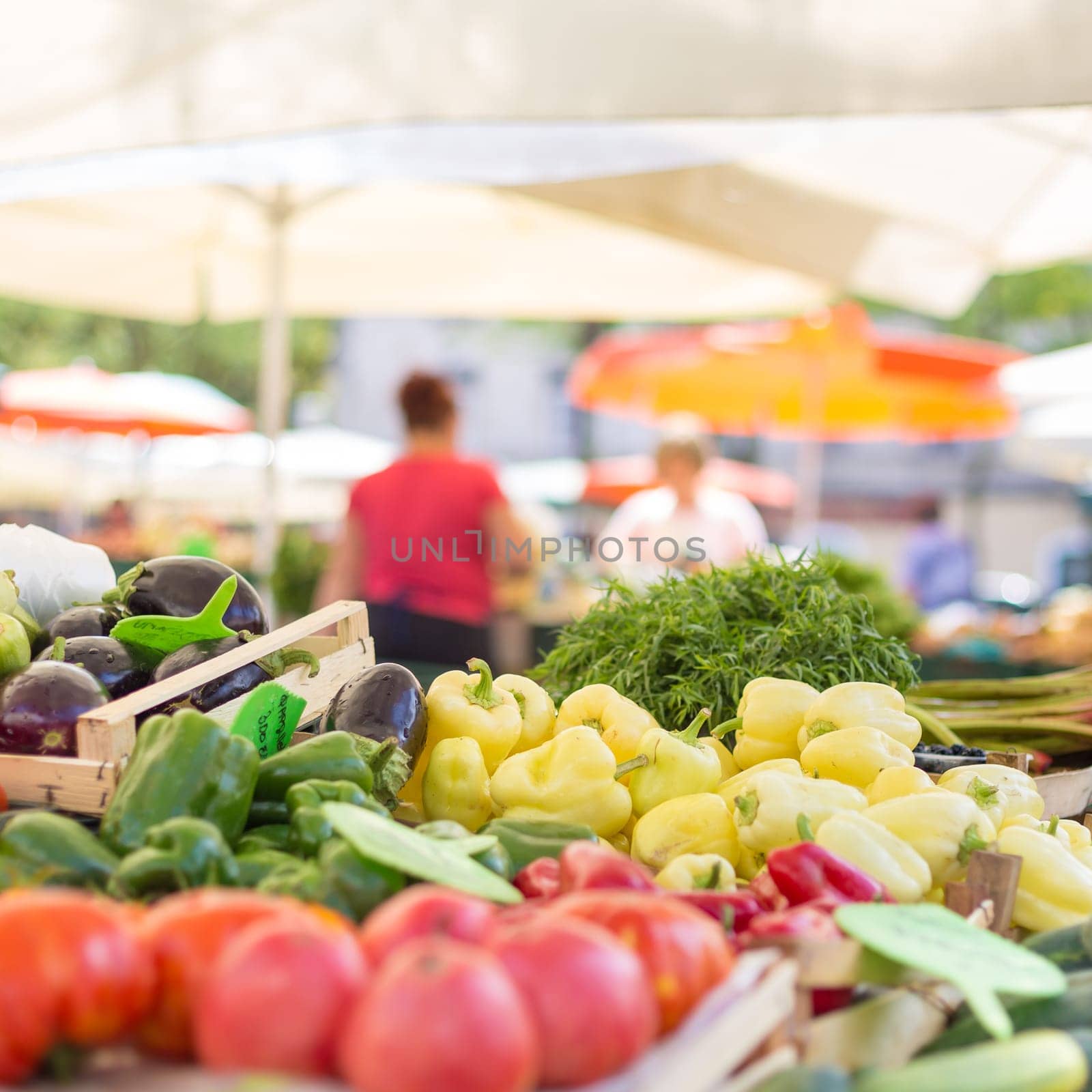 Farmers&#39  food market stall with variety of organic vegetable. Vendor serving and chating with customers.
