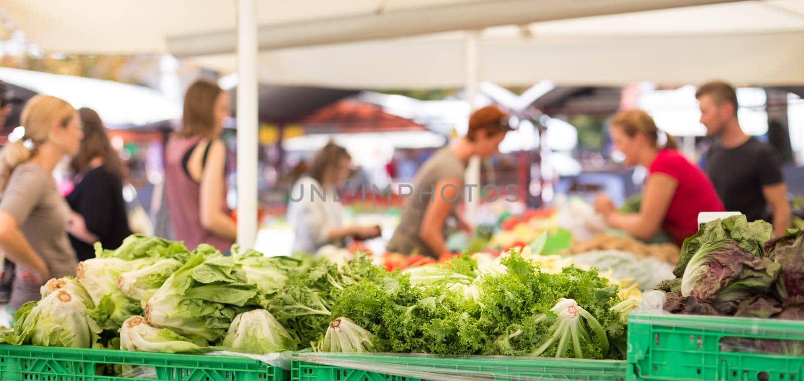 Farmers&#39  food market stall with variety of organic vegetable. Vendor serving and chating with customers.