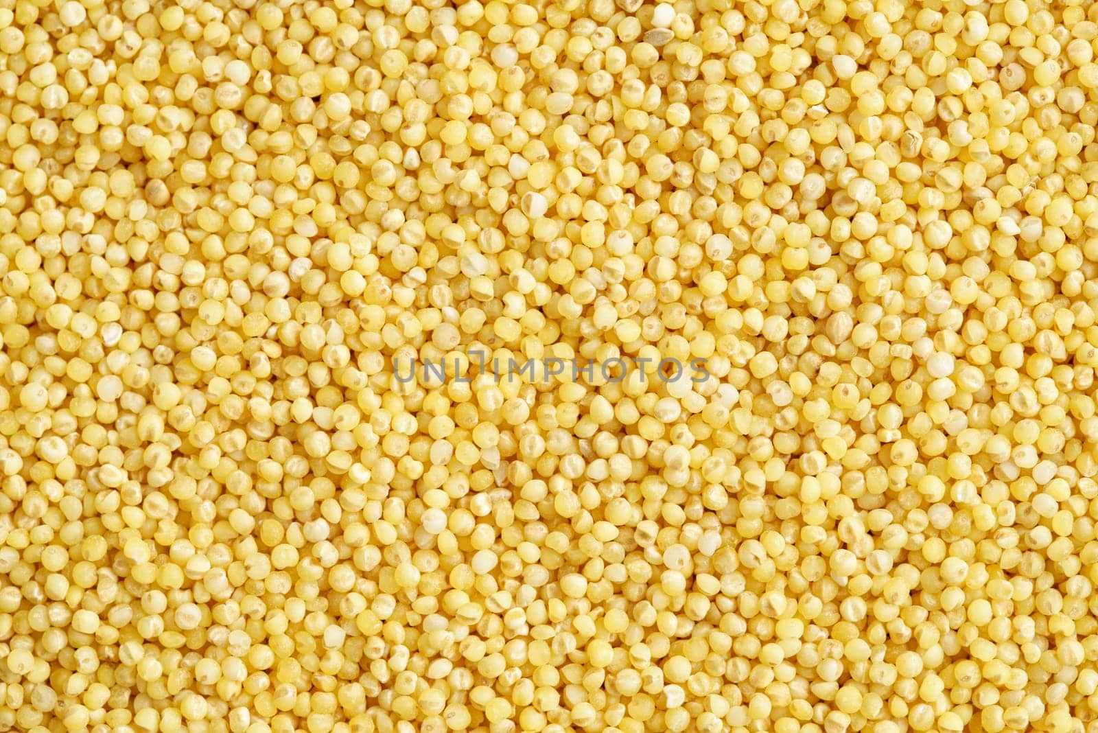 Close-up of raw millet grains