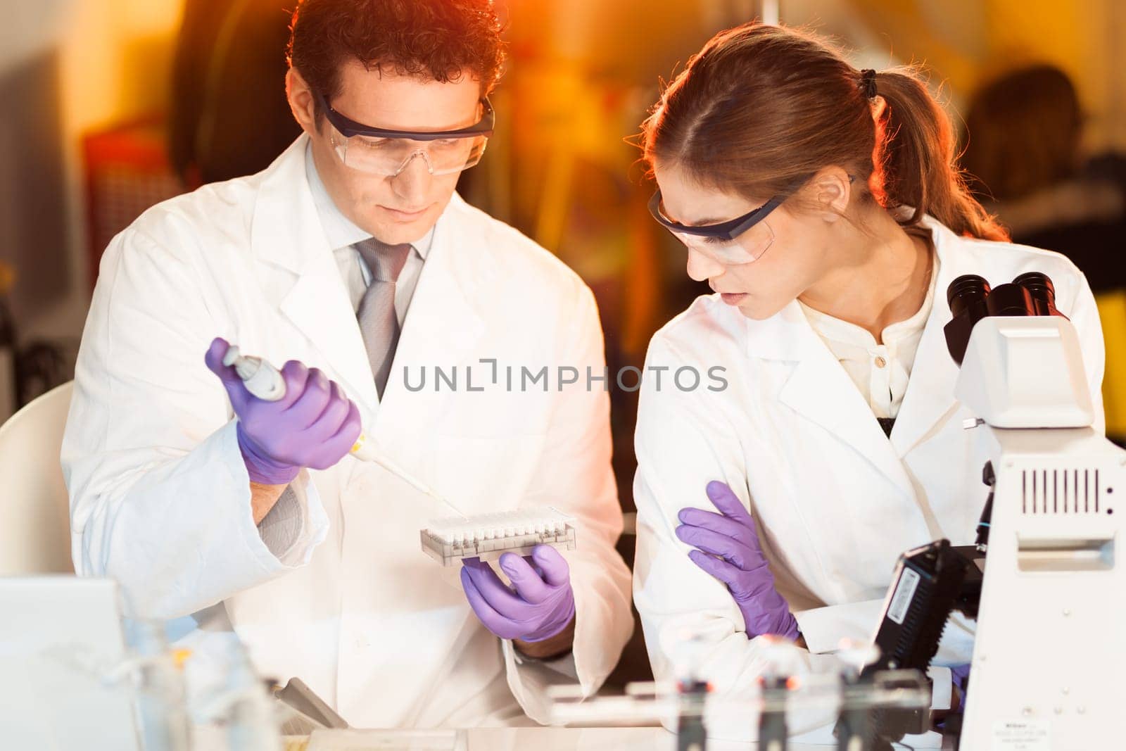Life scientist researching in laboratory. Focused life science professionals pipetting master mix solution into the PCR 96 well micro plate using multi channel pipette. Healthcare and biotechnology.