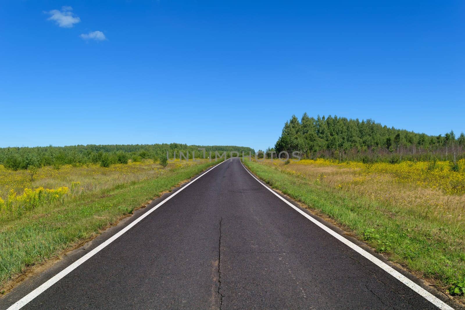 Rural asphalt road with markings that goes into the woods and passing through the meadow. Blue sky on a sunny summer day