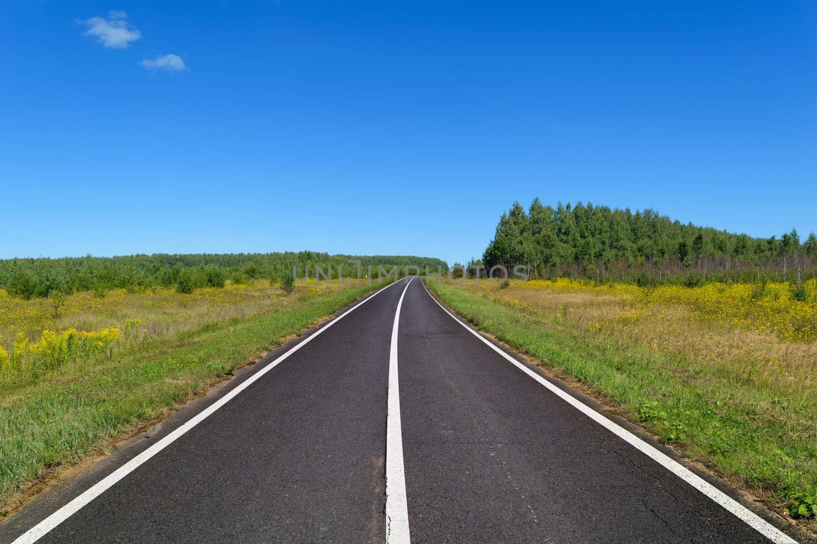 Rural asphalt road with markings that goes into the woods and passing through the meadow. Blue sky on a sunny summer day