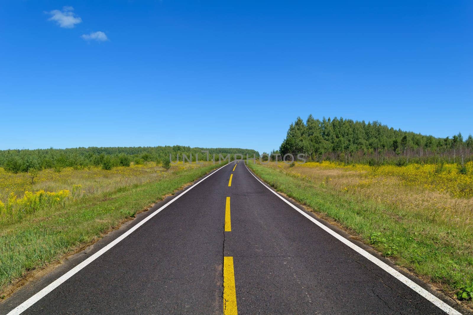 Rural asphalt road with markings that goes into the woods and passing through the meadow. Blue sky on a sunny summer day